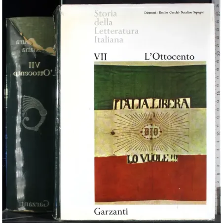 Storia della letteratura Italiana VII. L'Ottocento