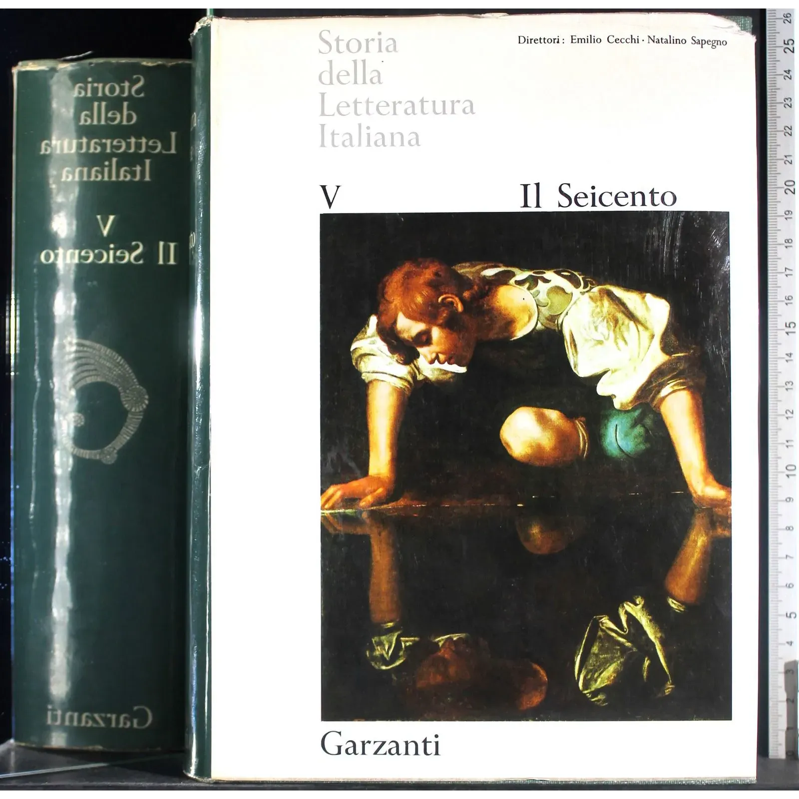 Storia della letteratura Italiana V. Il Seicento