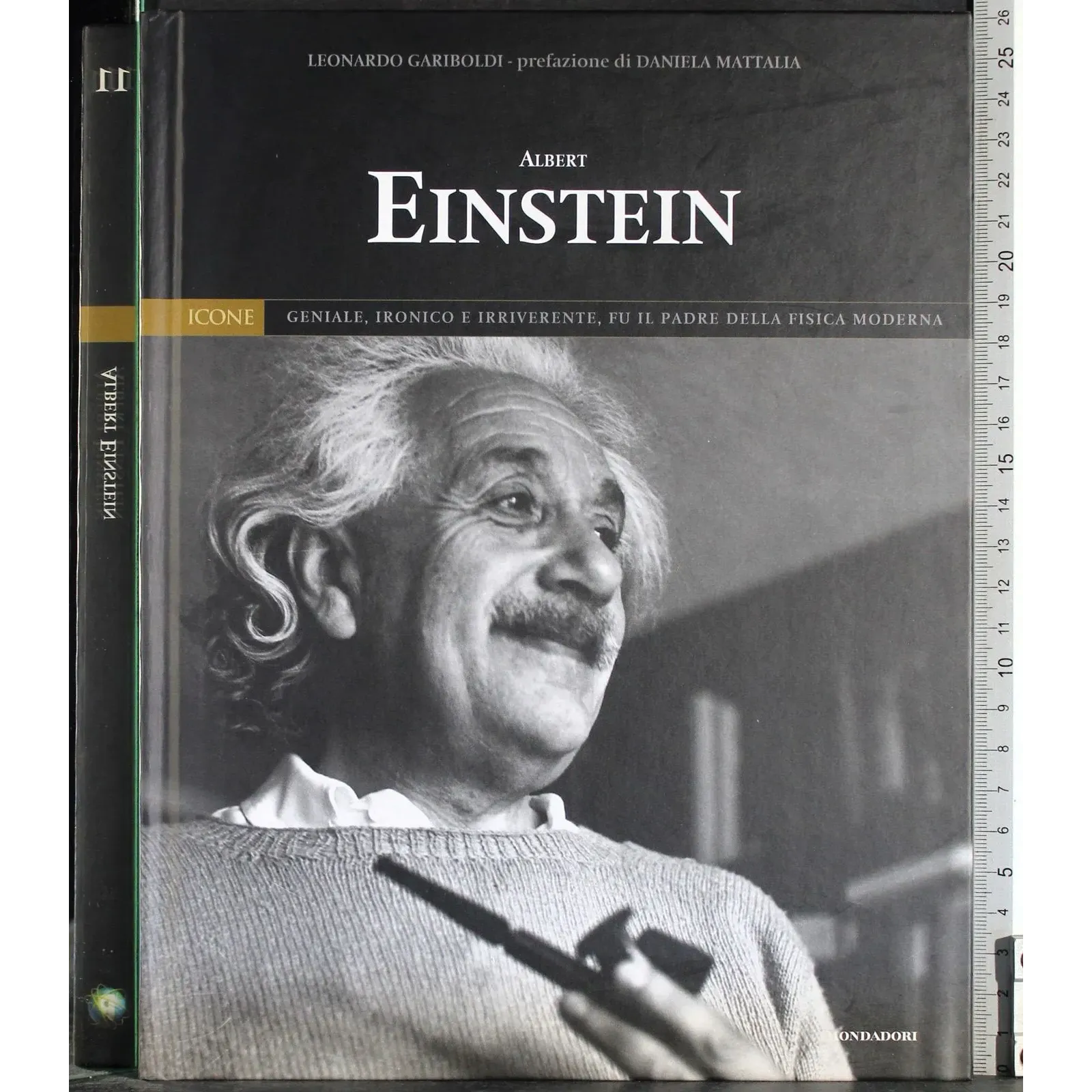 Icone 11. Albert Einstein