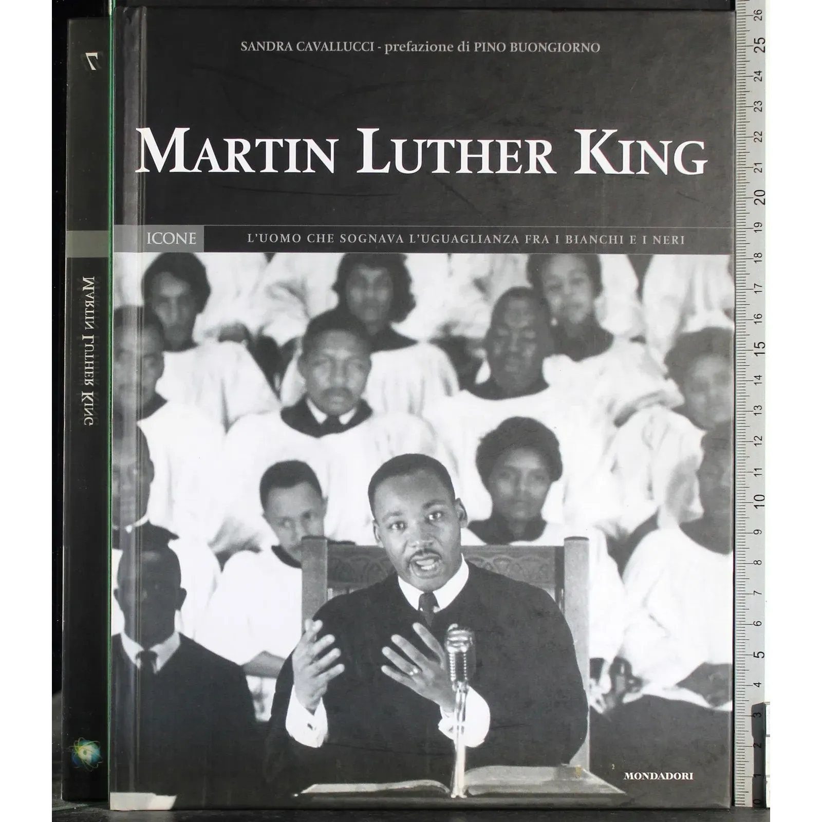 Icone 7. Martin Luther King