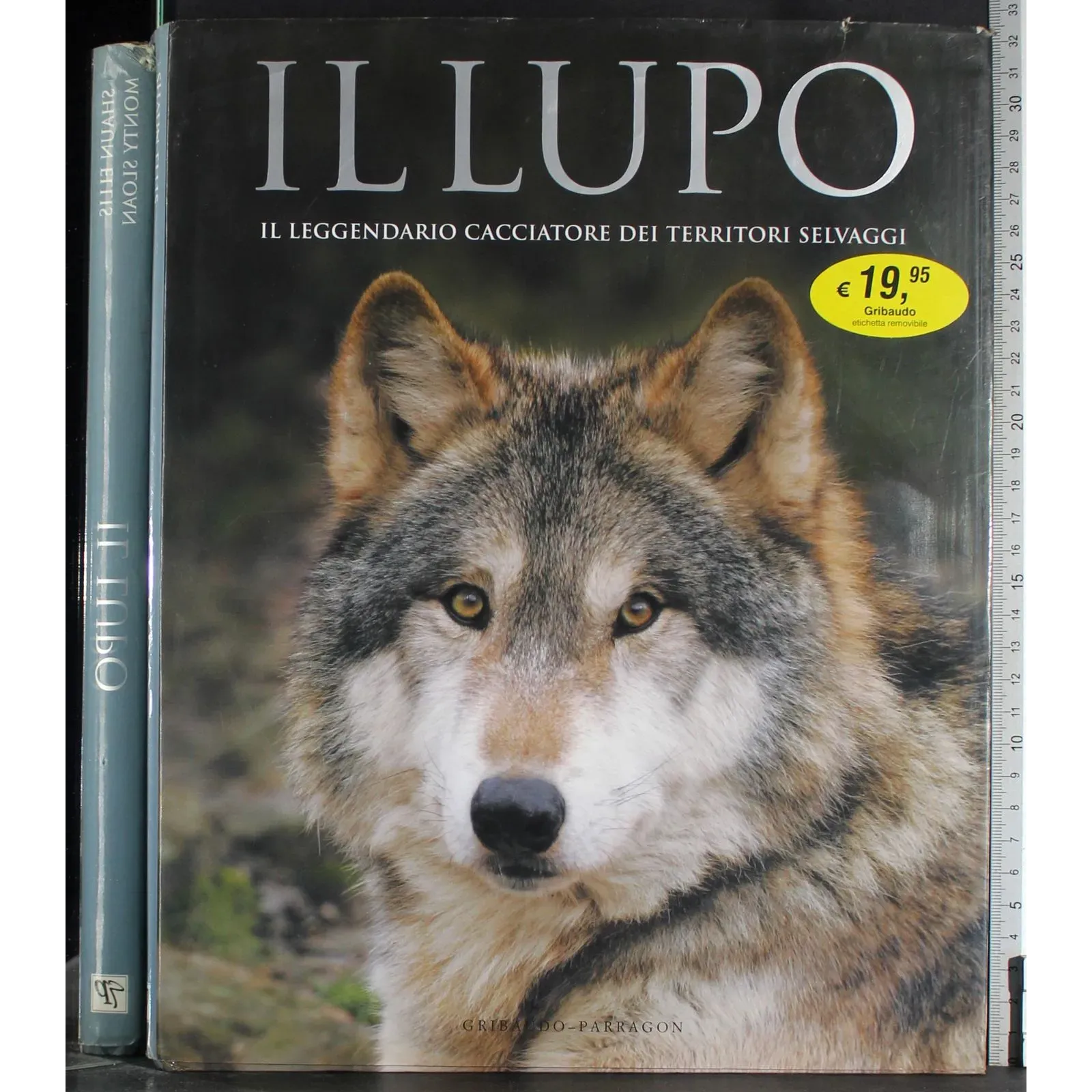 Il Lupo