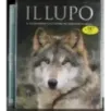 Il Lupo