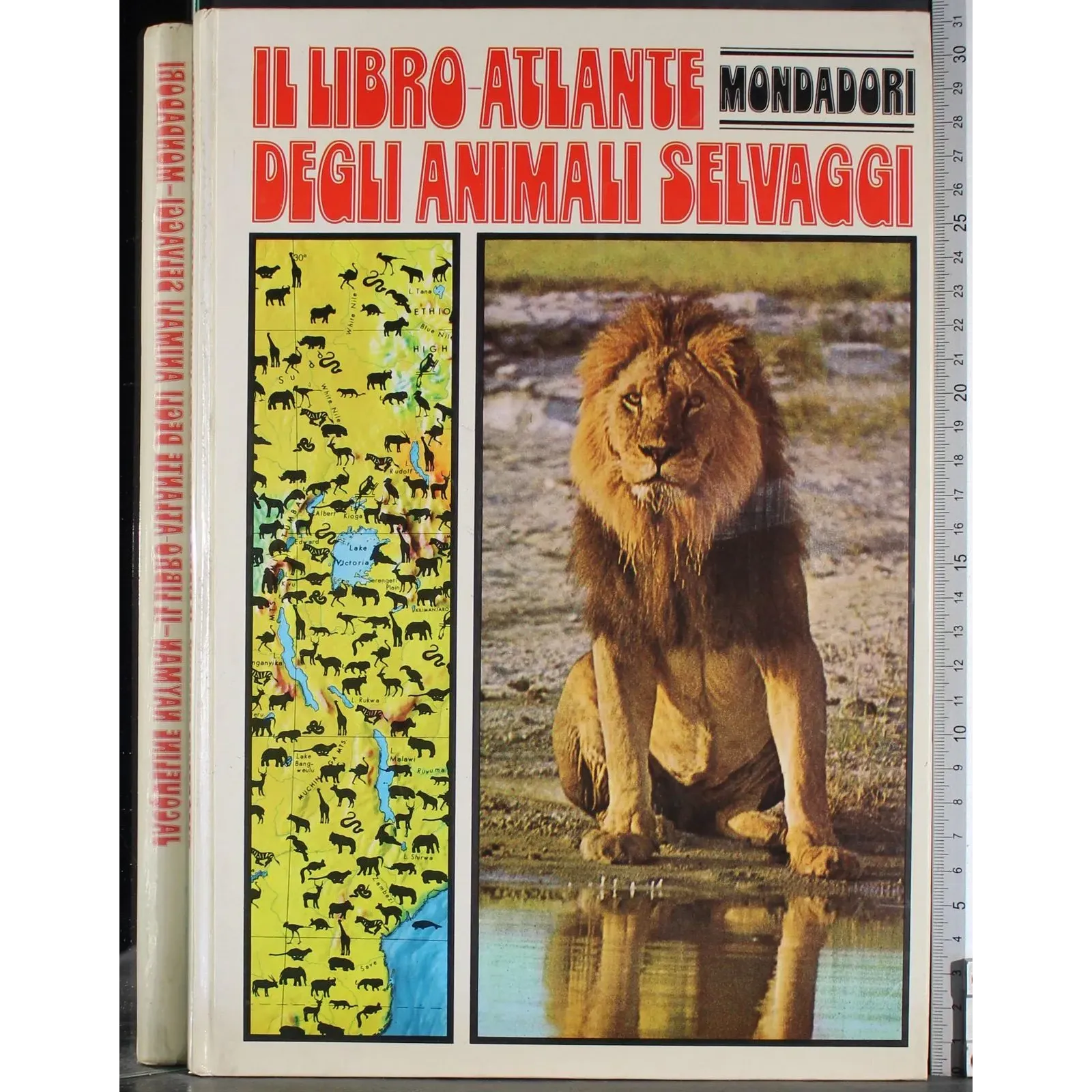 IL libro-atlante degli animali selvaggi