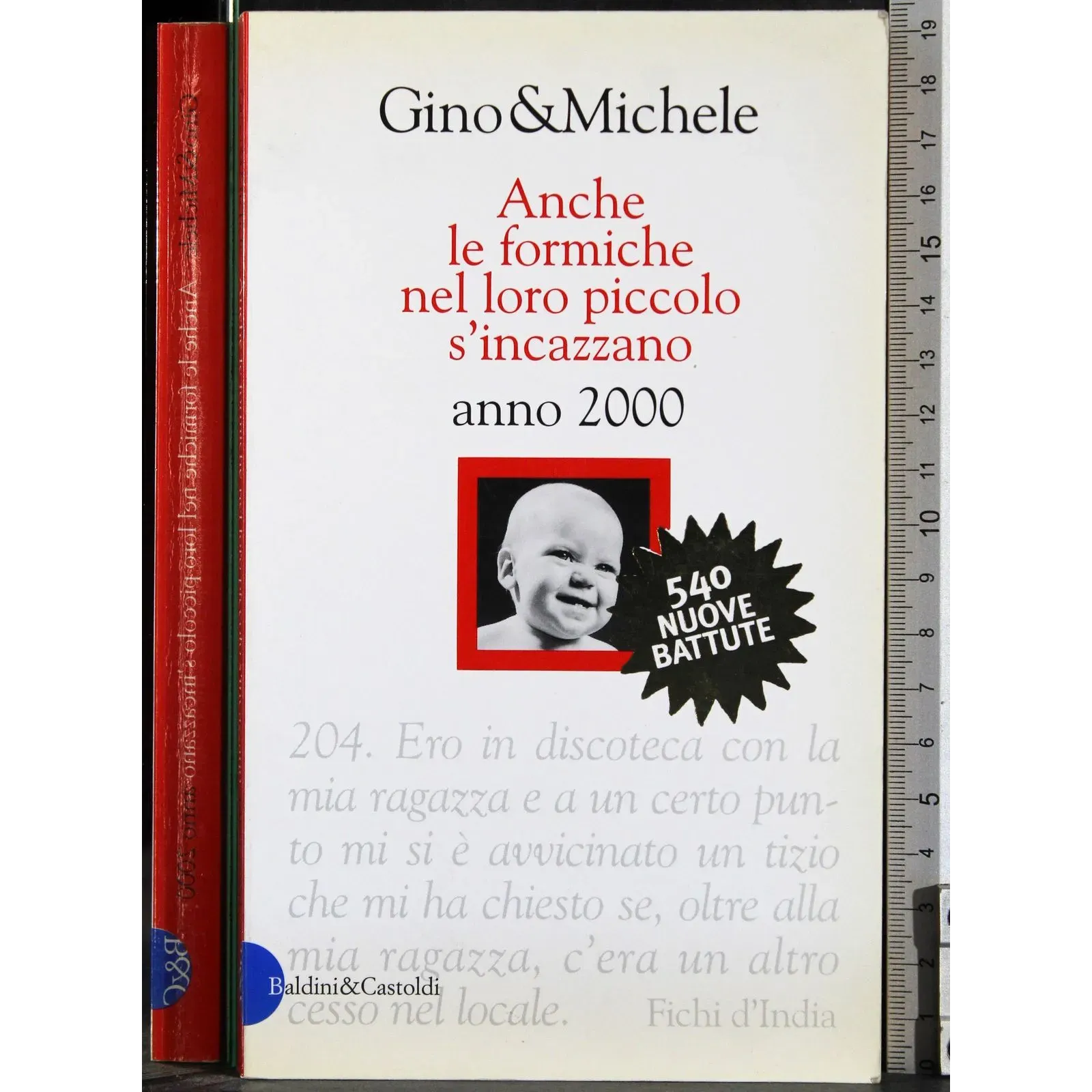 Anche le formiche nel loro picolo s'incazzano