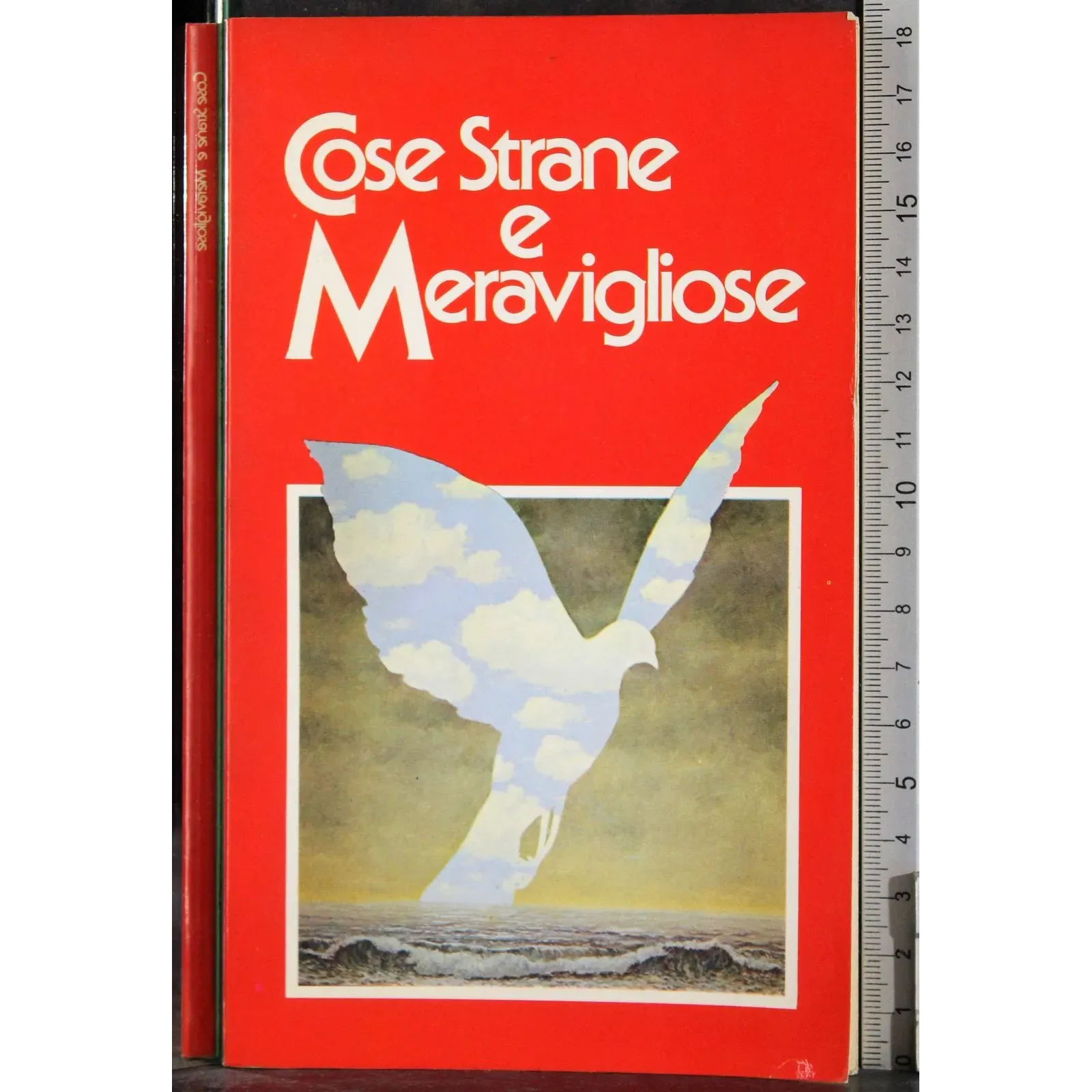 Cose strane e meravigliose