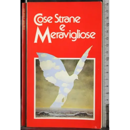 Cose strane e meravigliose