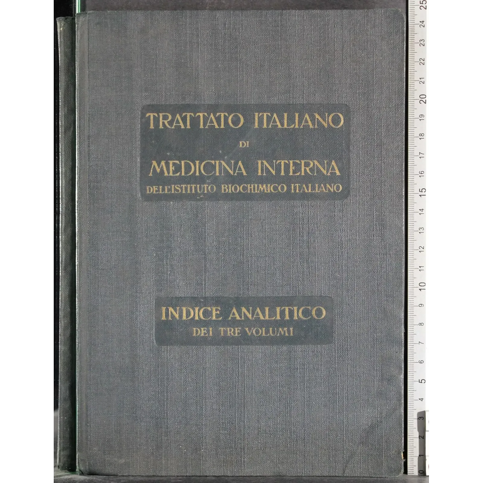 Trattato italiano di medicina interna. Indice analitico