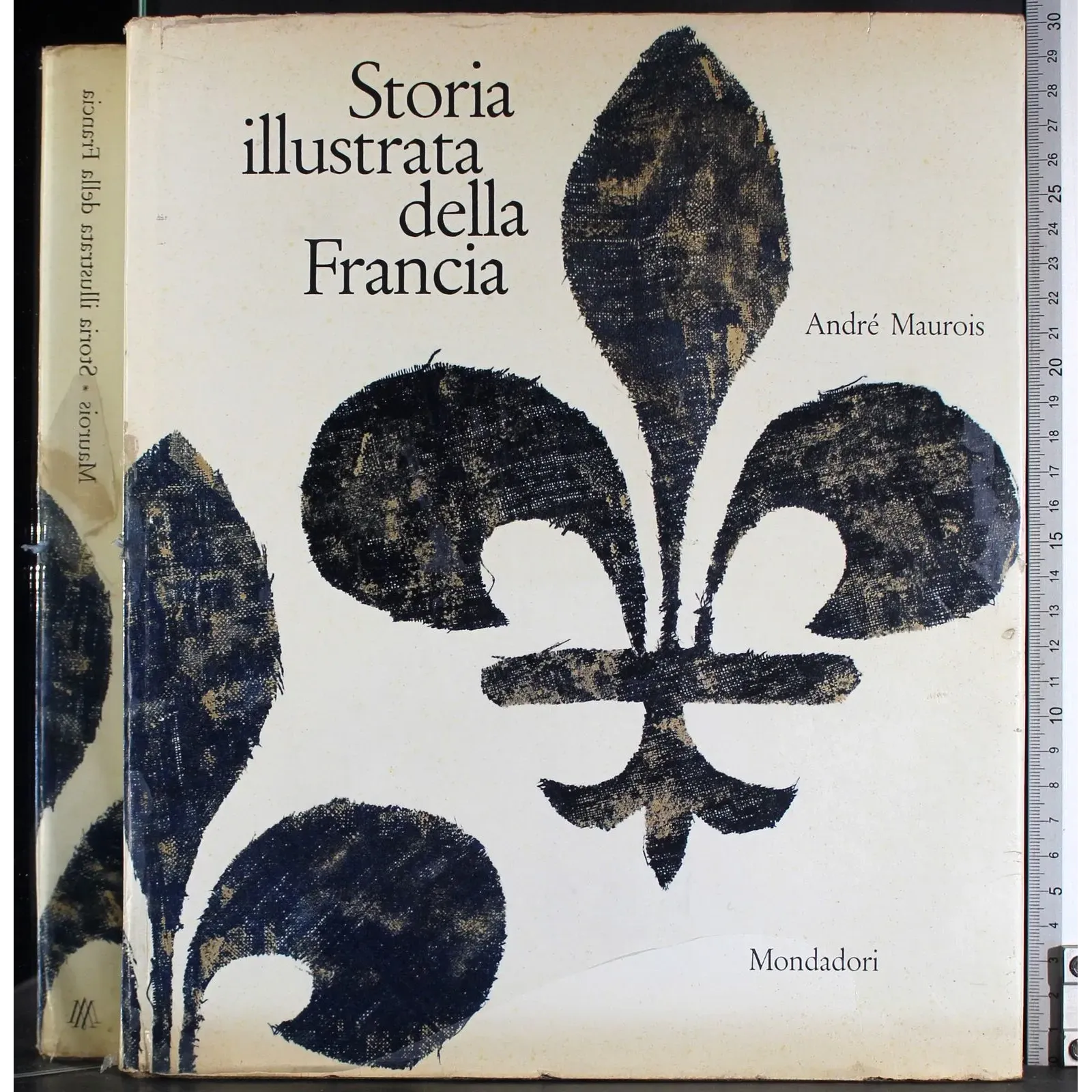 Storia illustrata della Francia