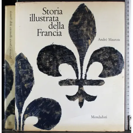 Storia illustrata della Francia