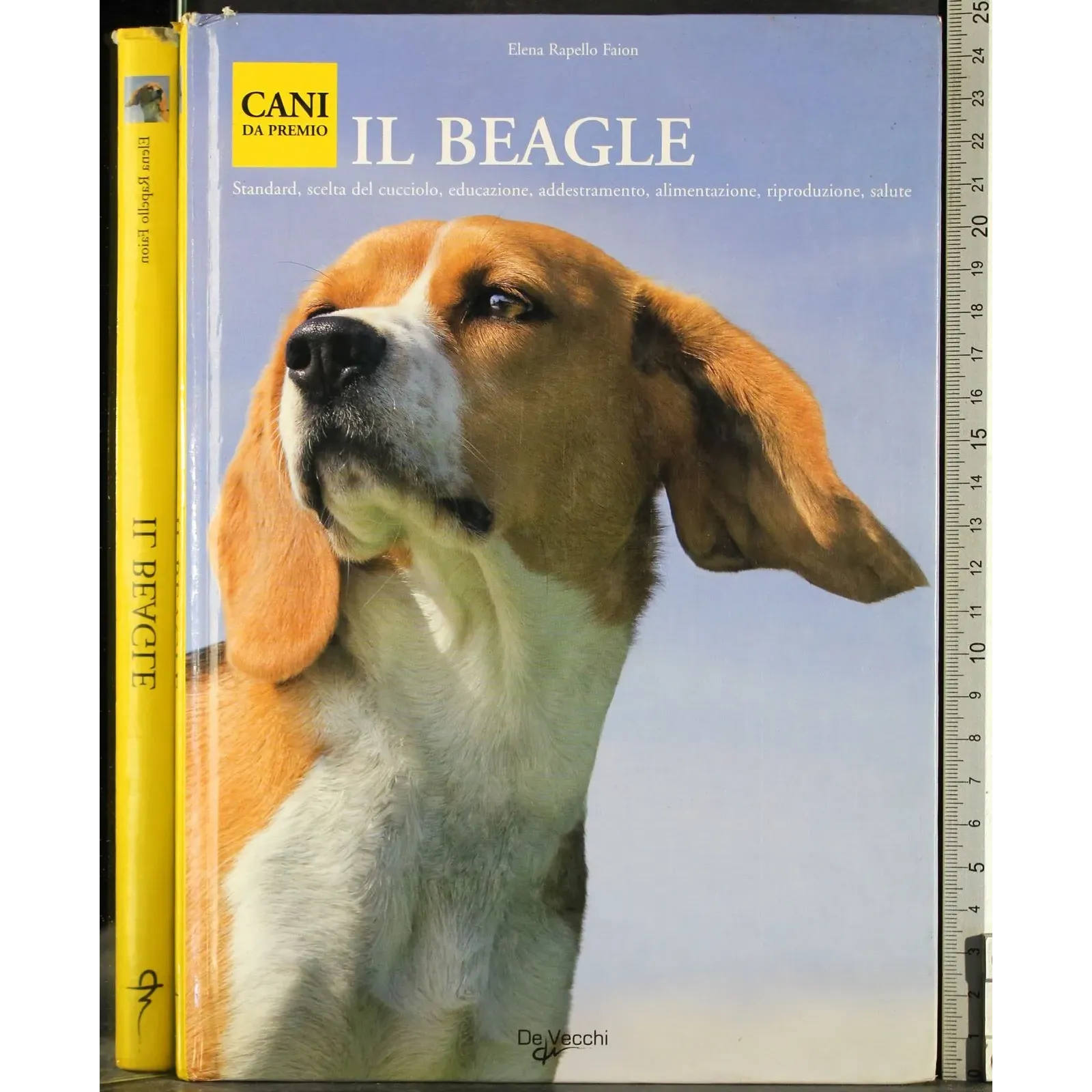 Cani da premio. Il beagle