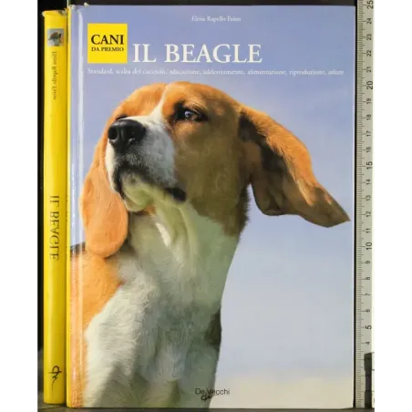 Cani da premio. Il beagle