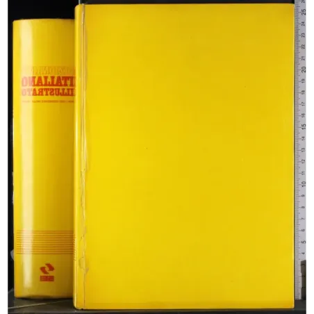 Dizionario italiano illustrato