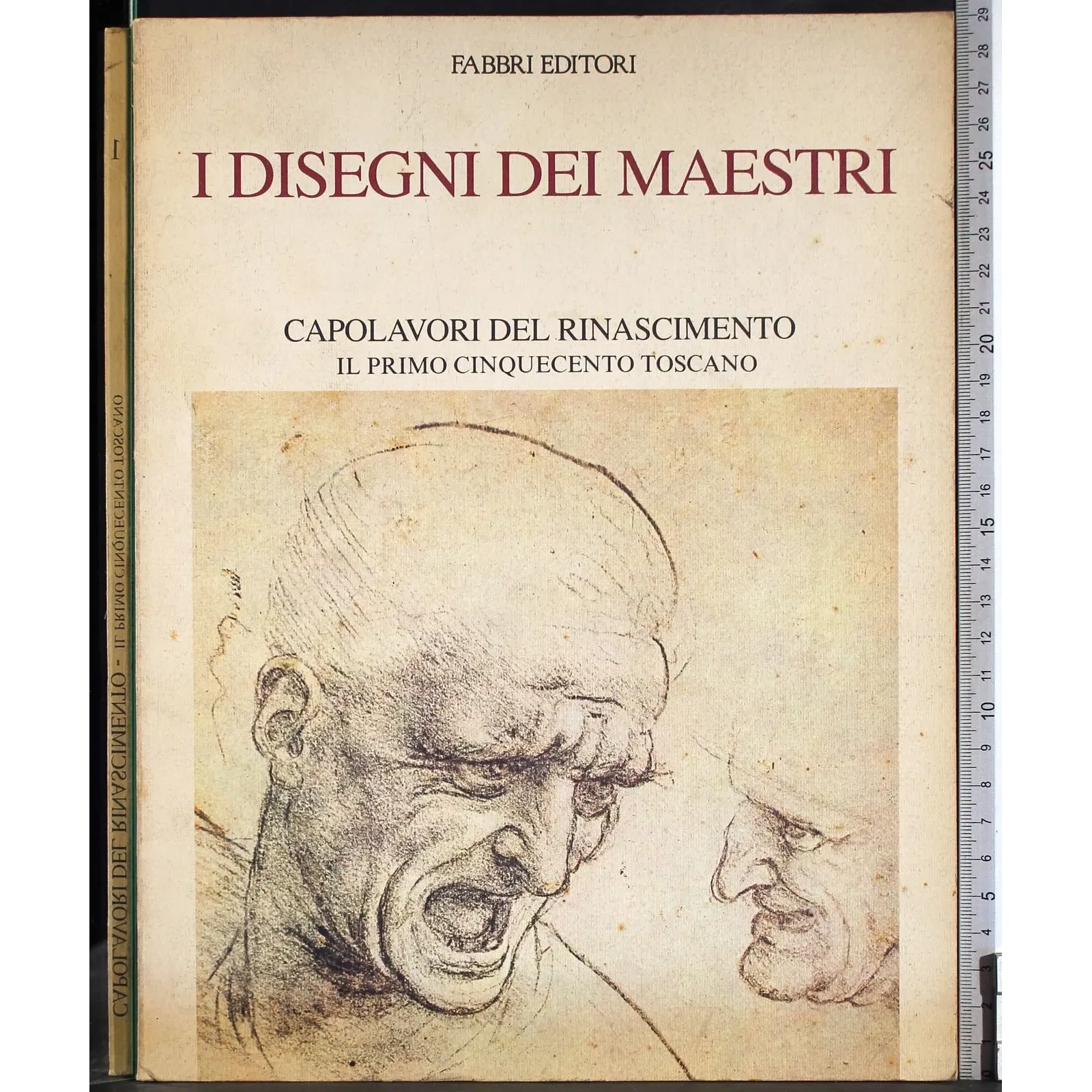 I disegni dei maestri. Capolavori del Rinascimento
