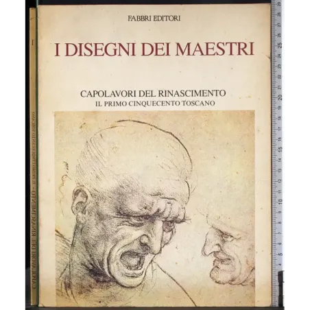 I disegni dei maestri. Capolavori del Rinascimento