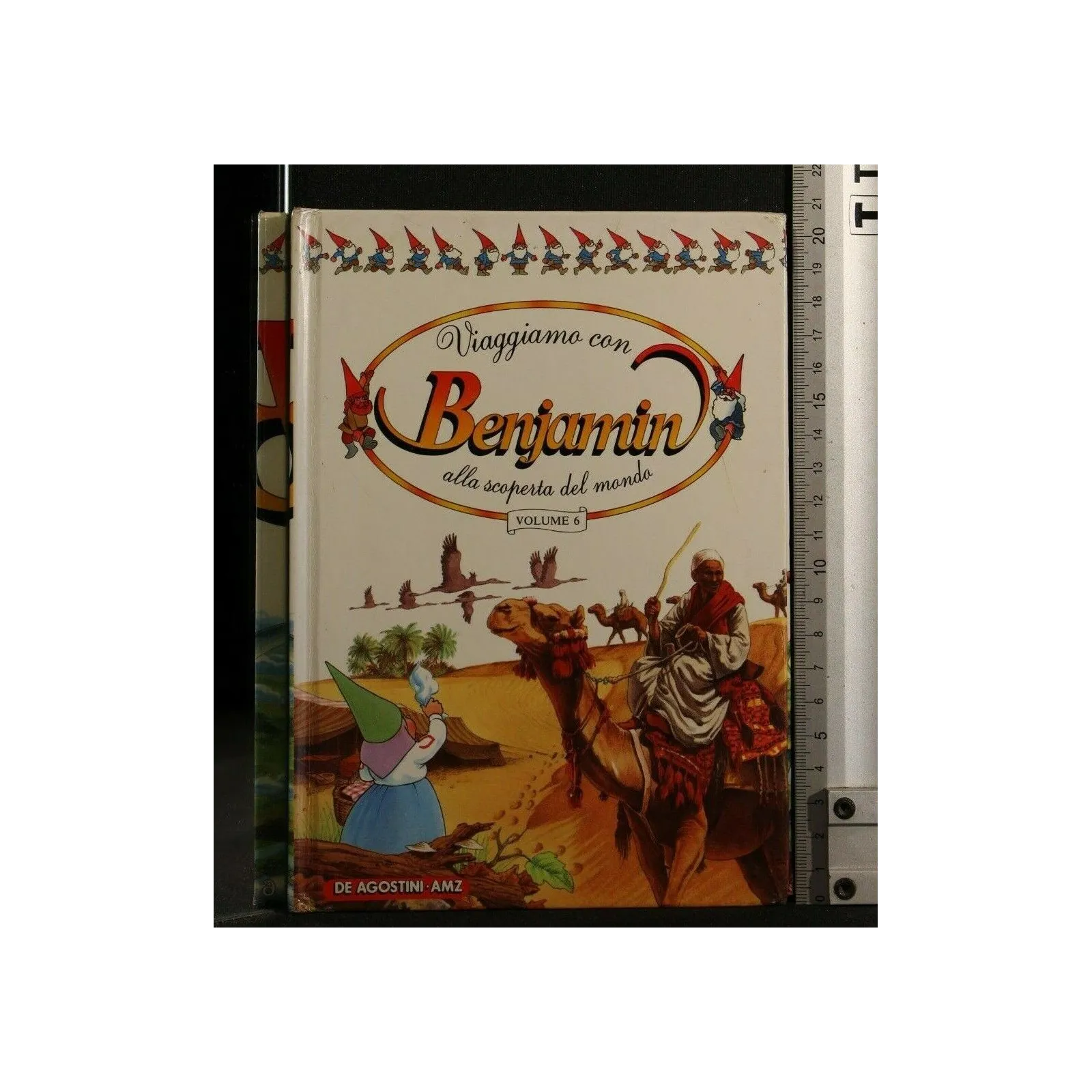 VIAGGIANDO CON BENJAMIN VOL 6