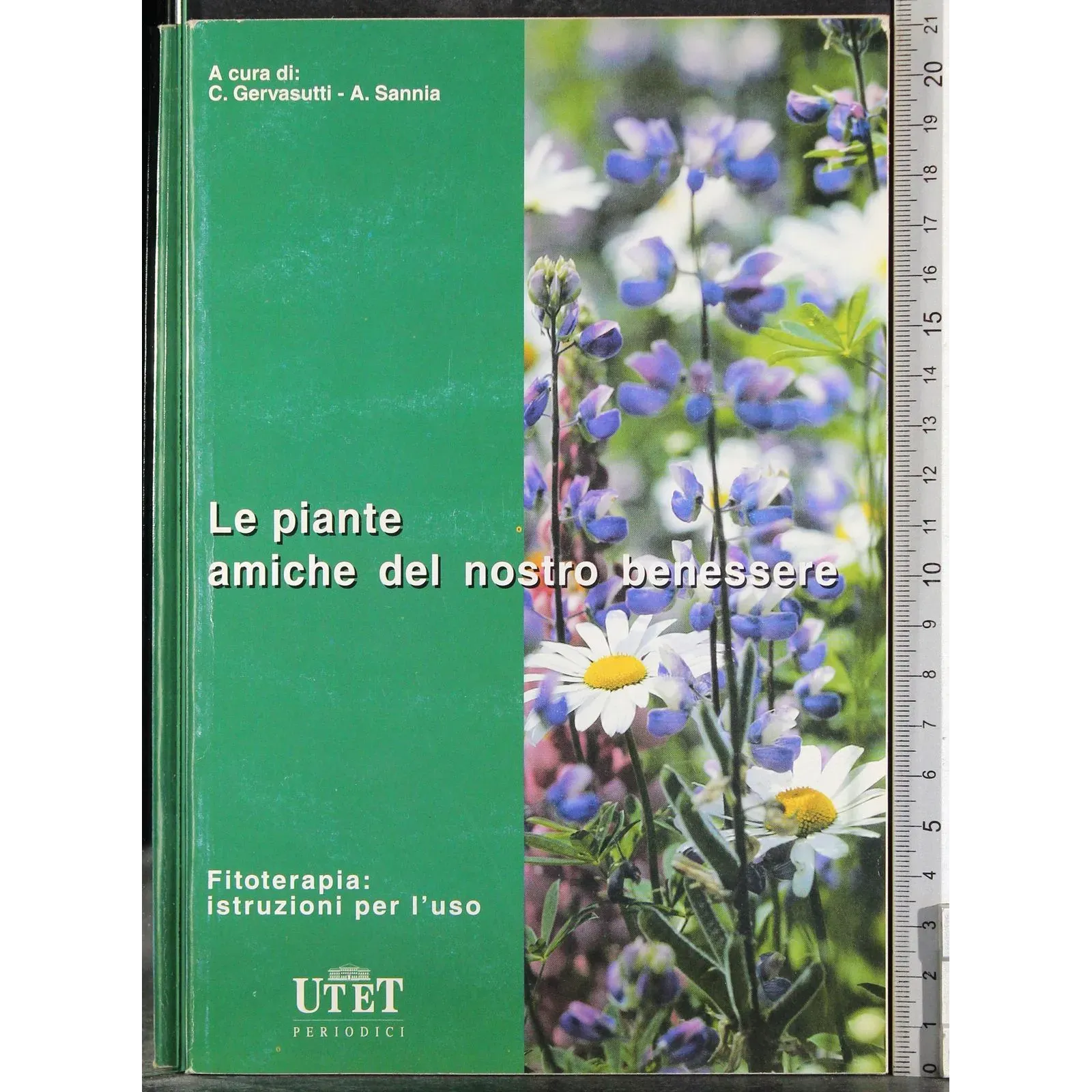 Le piante amiche del nostro benessere