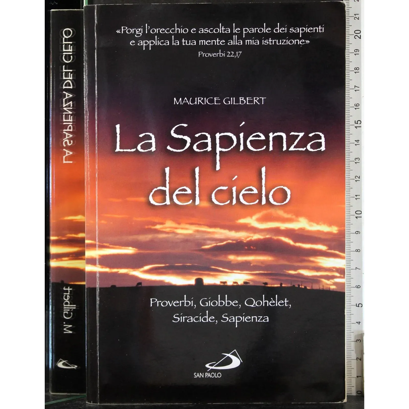 La Sapienza del cielo