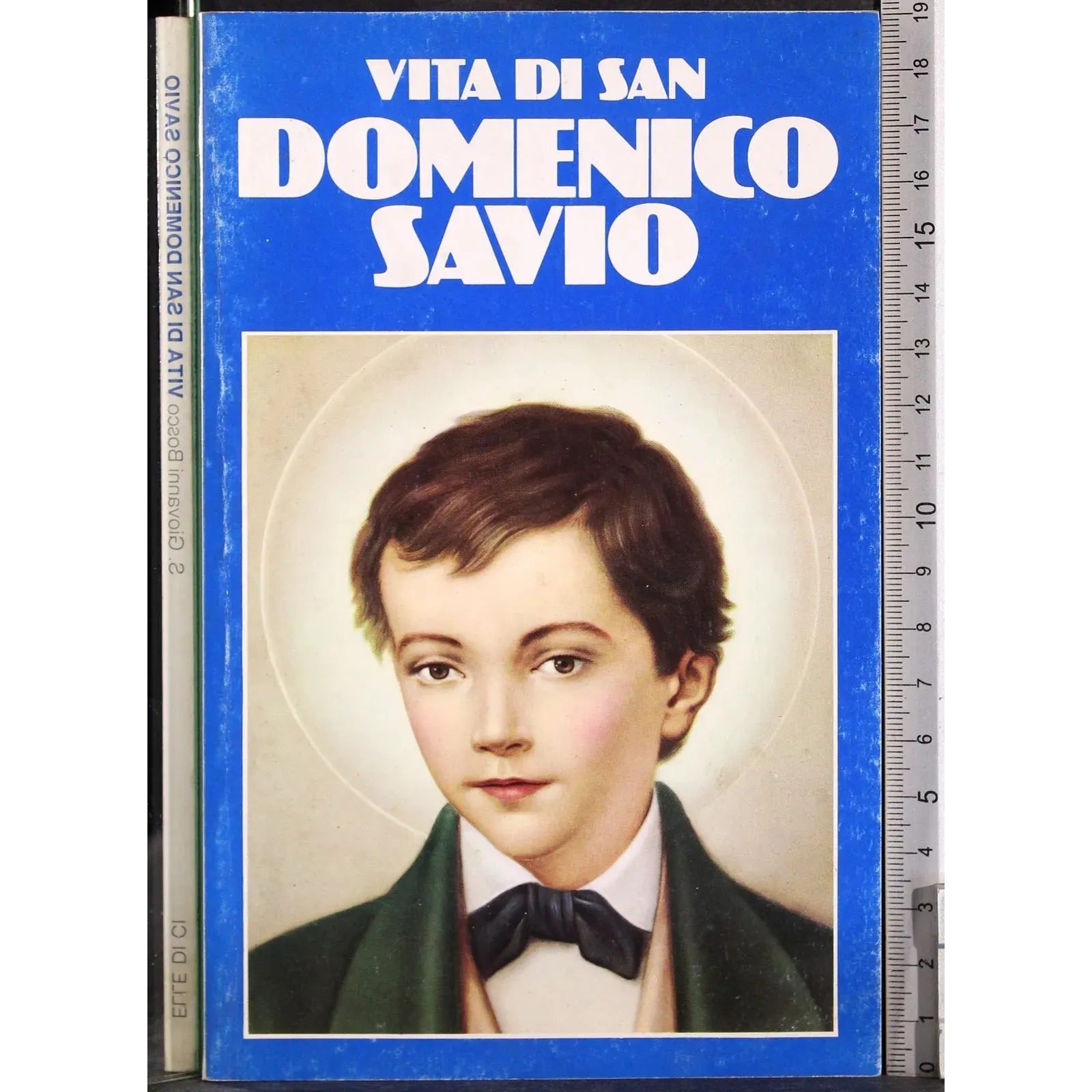 Vita di San Domenico Savio