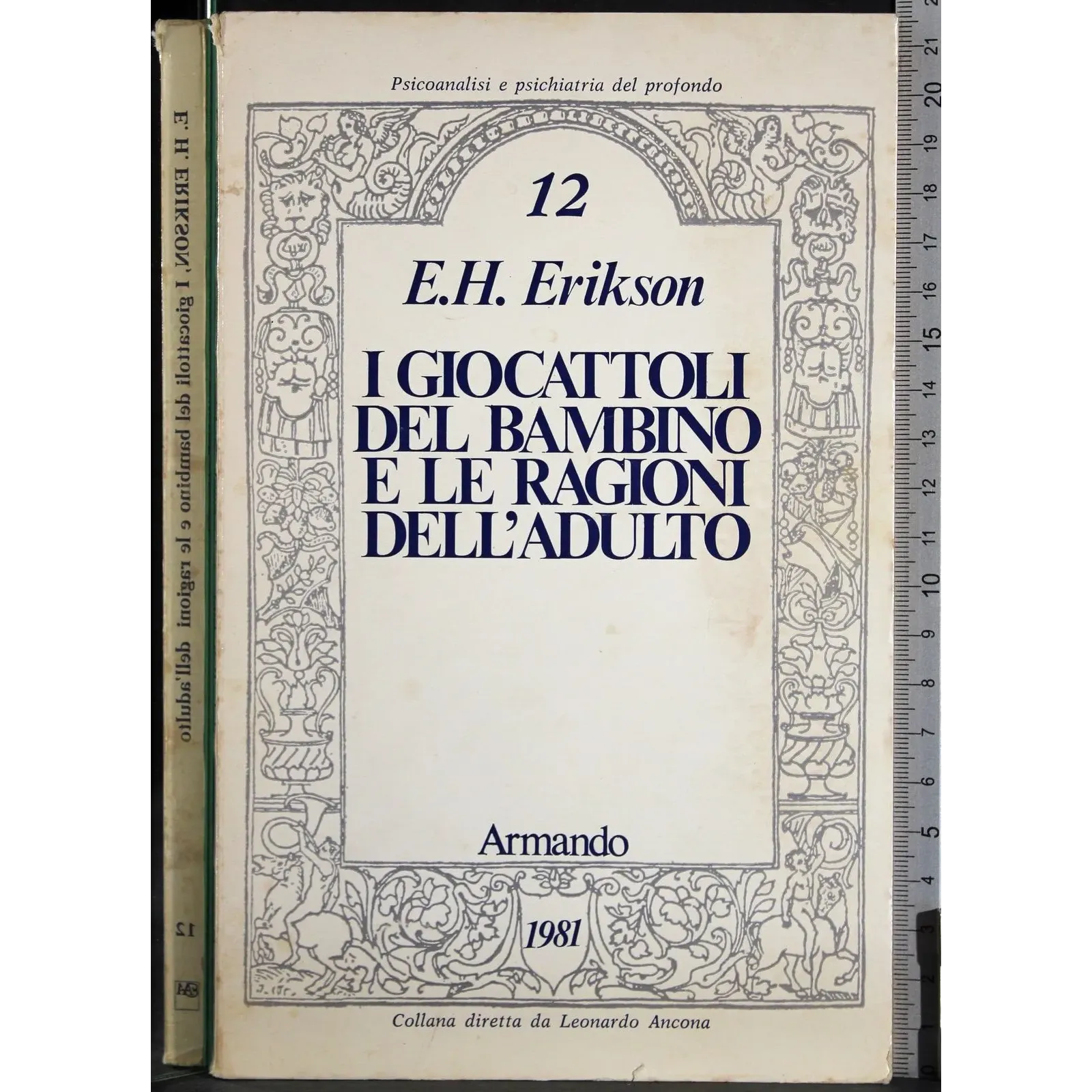 I giocattoli del bambino e le regioni dell'adulto