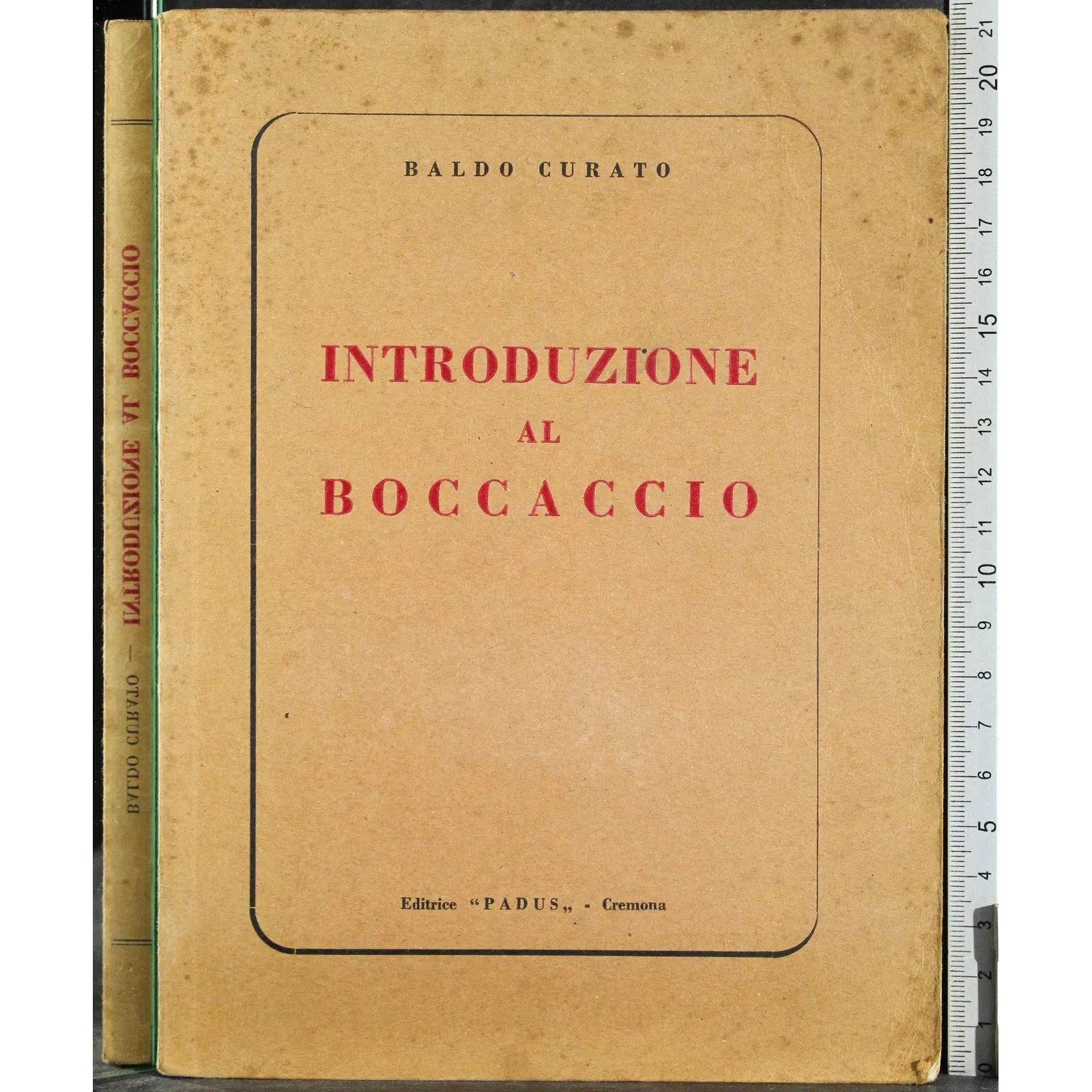 Introduzione al Boccaccio