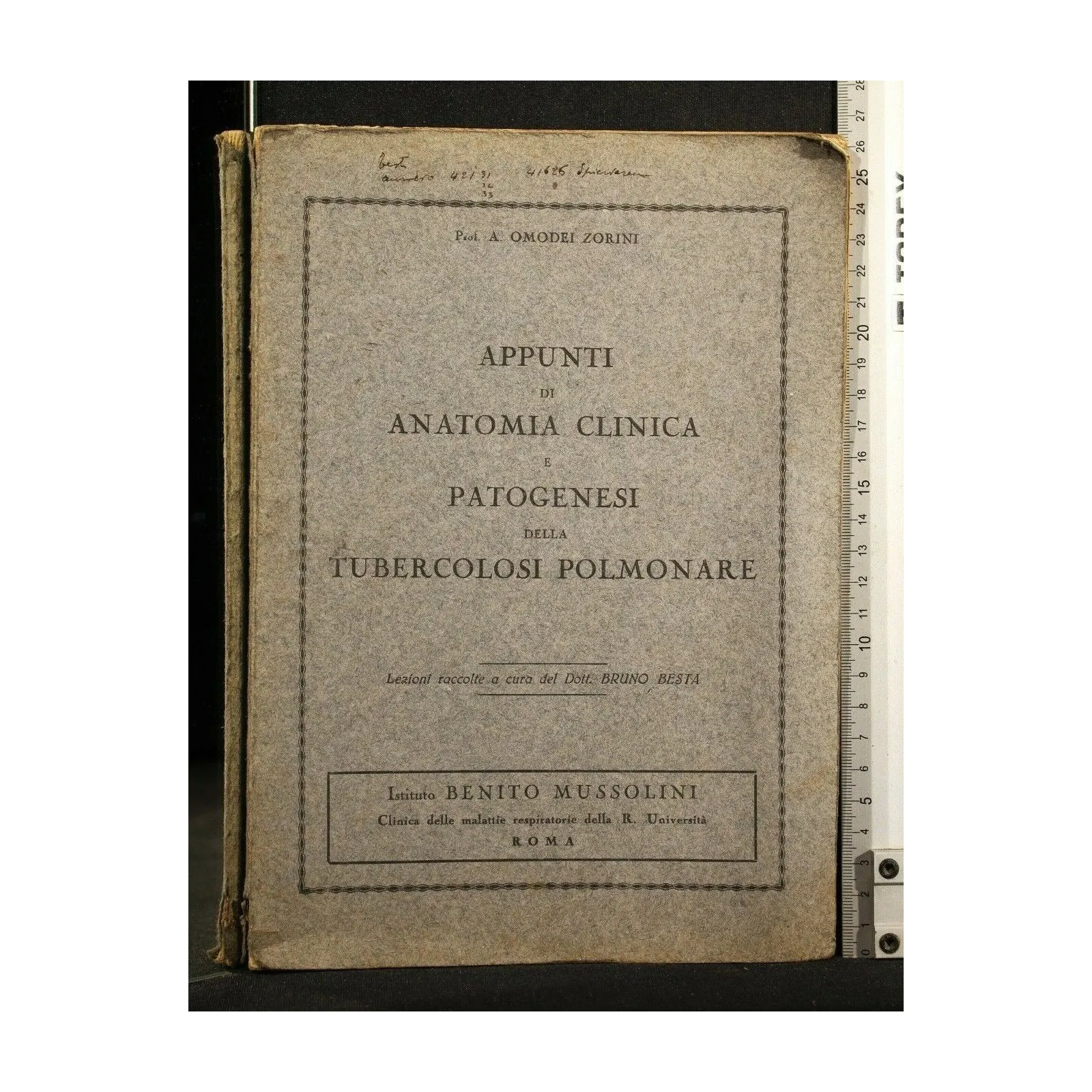 APPUNTI DI ANATOMIA CLINICA E PATOGENESI DELLA TUBERCOLOSI