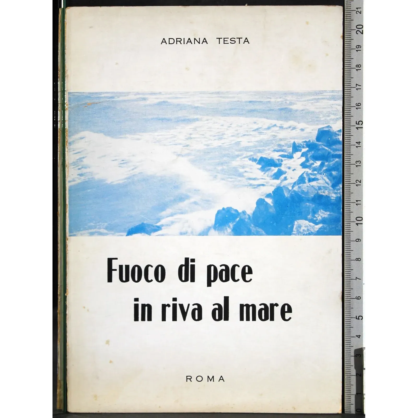 Fuoco di pace in riva al mare