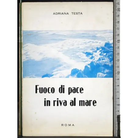 Fuoco di pace in riva al mare