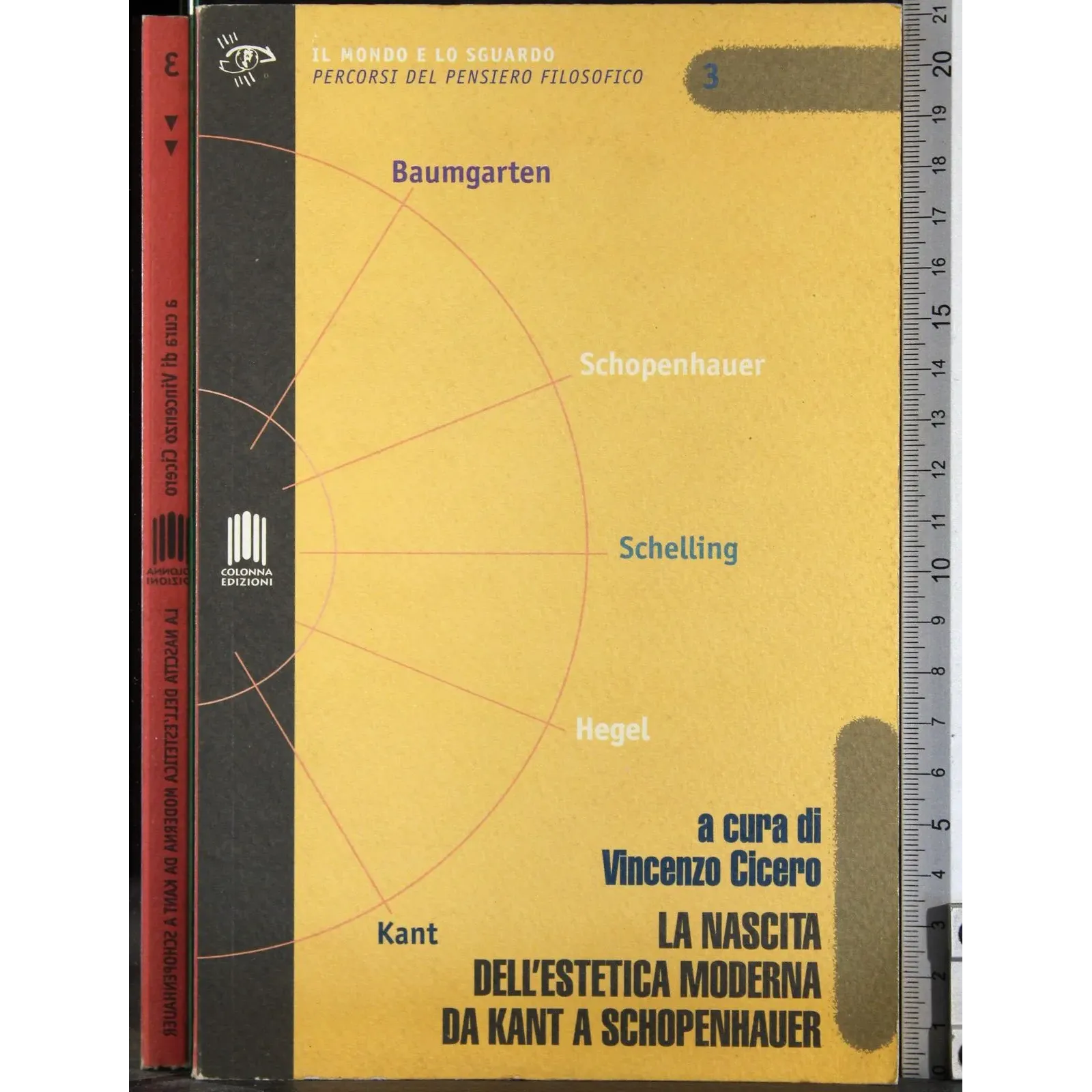 Nascita dell'estetica moderna da Kant a Schopenhauer