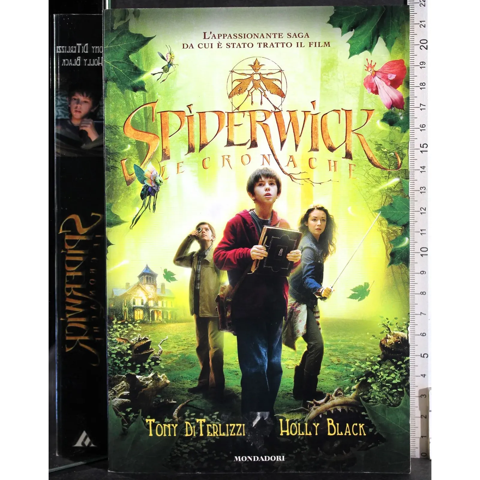 Spiderwick. Le cronache
