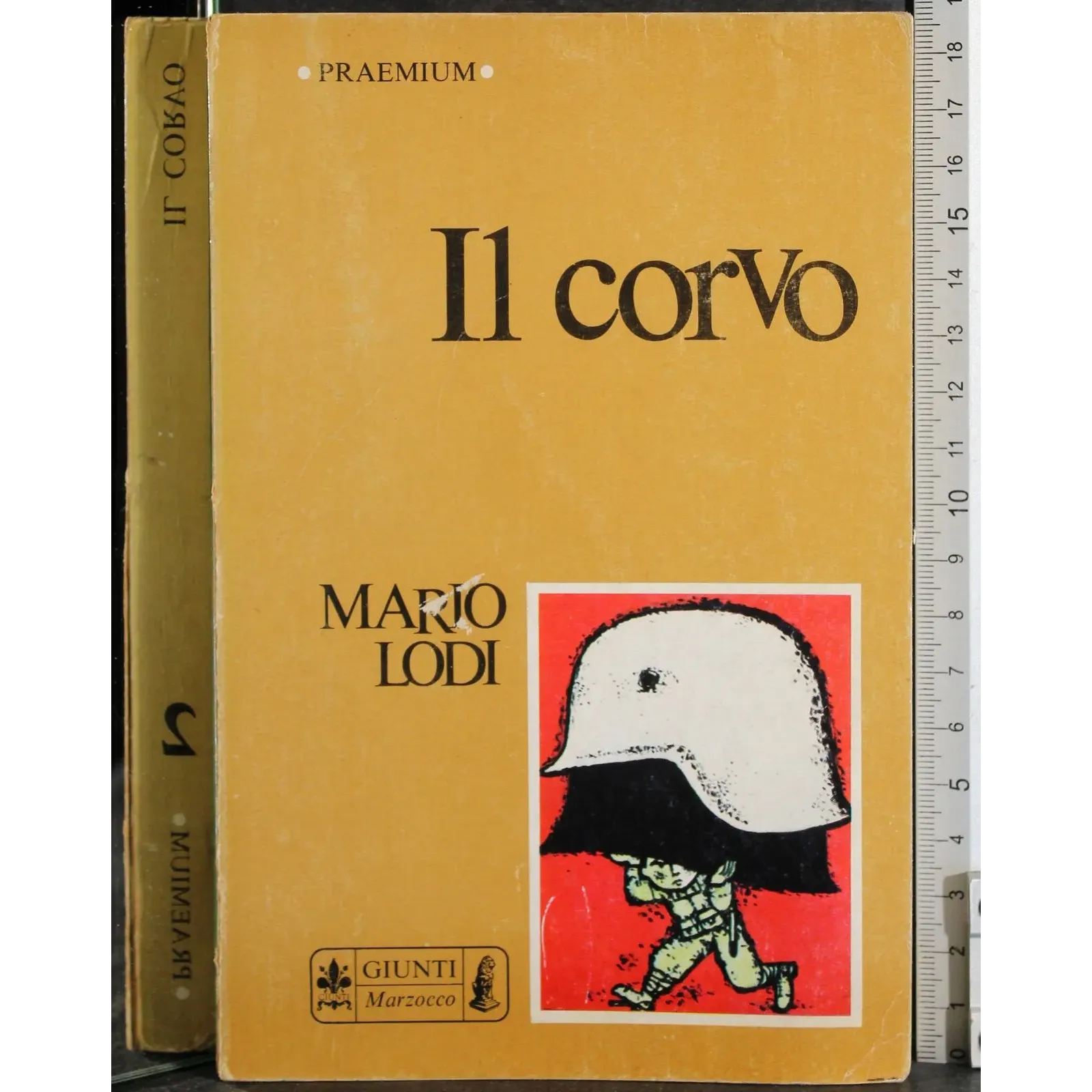 Il corvo