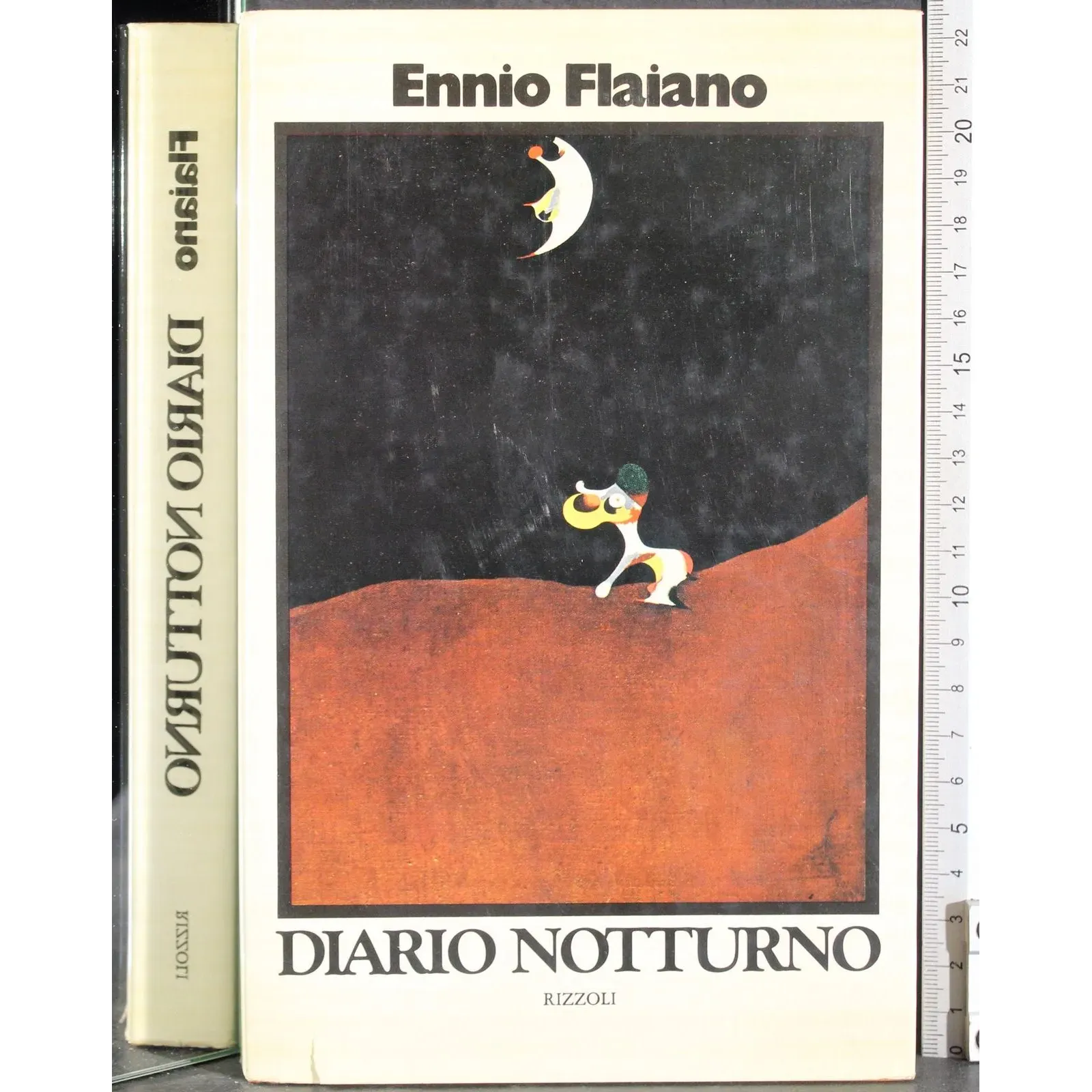 Diario notturno