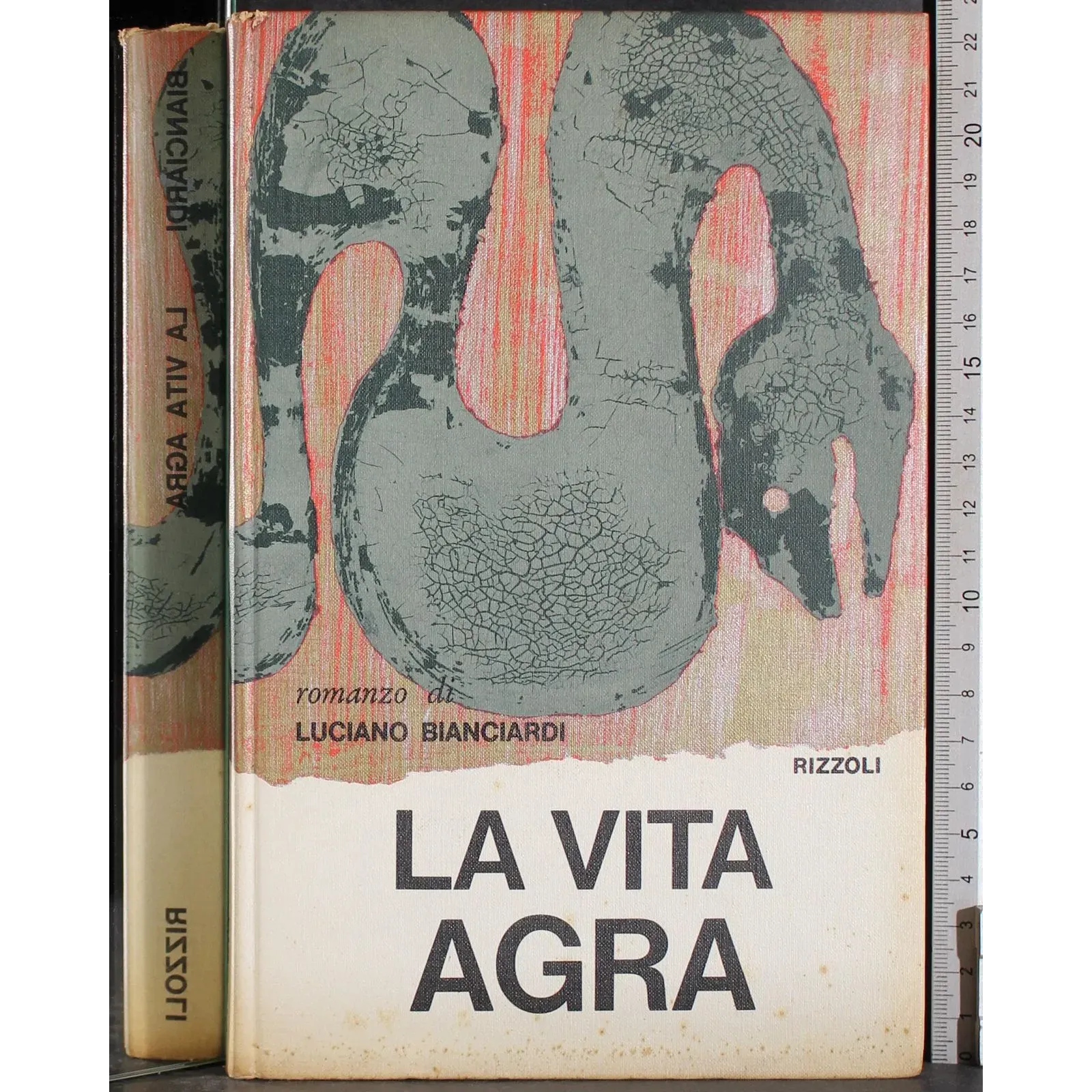 La vita agra