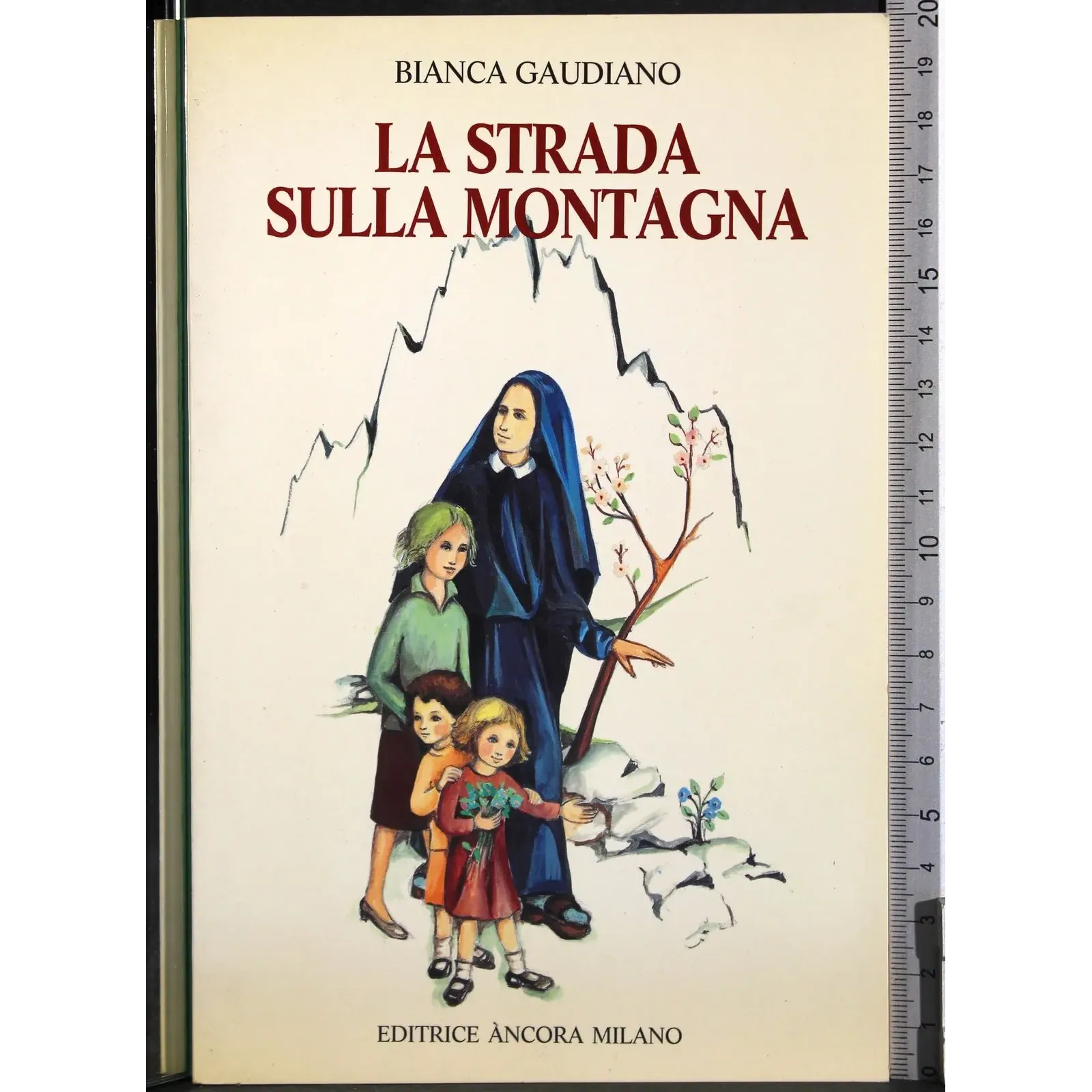 La strada sulla montagna