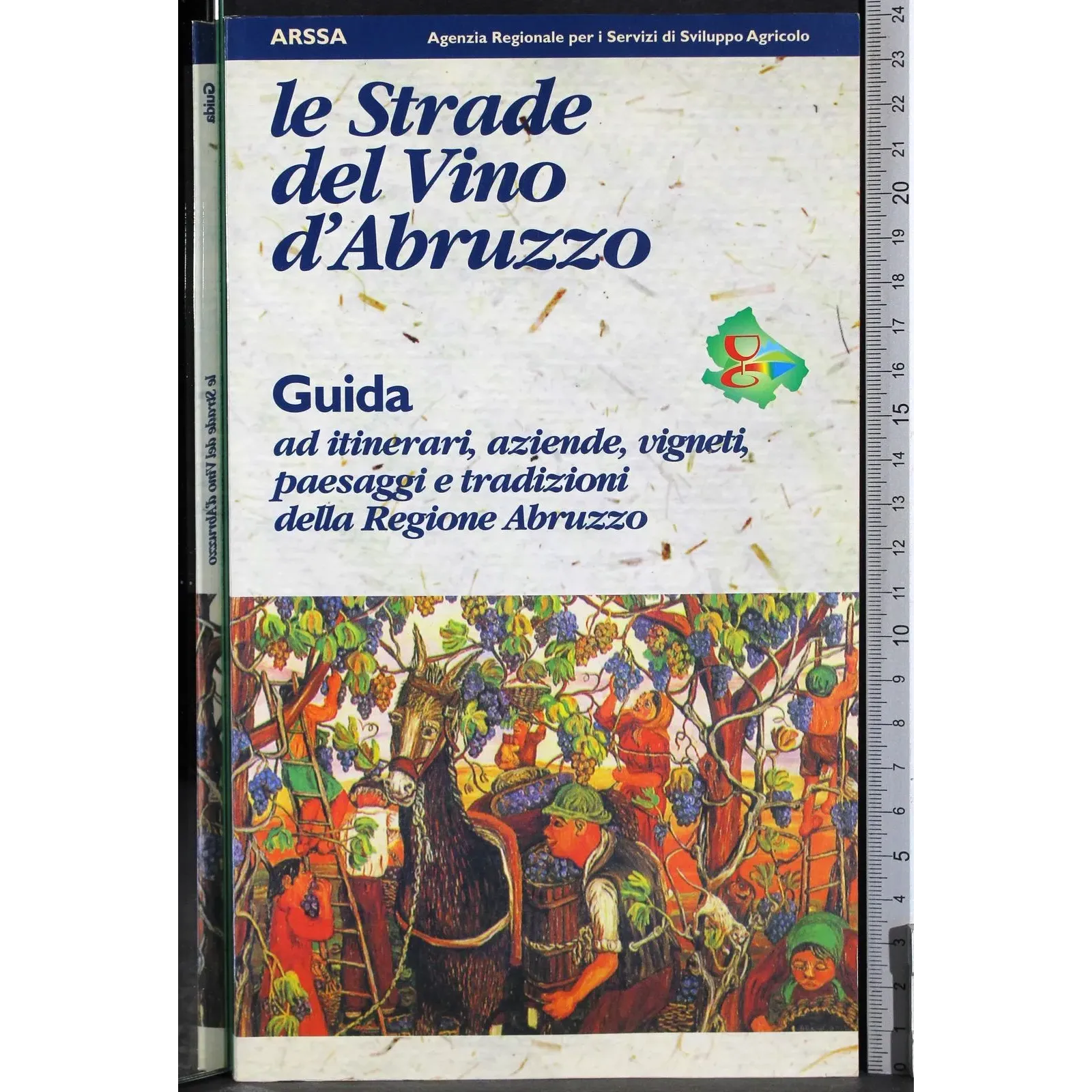 Le strade del vino d'Abruzzo