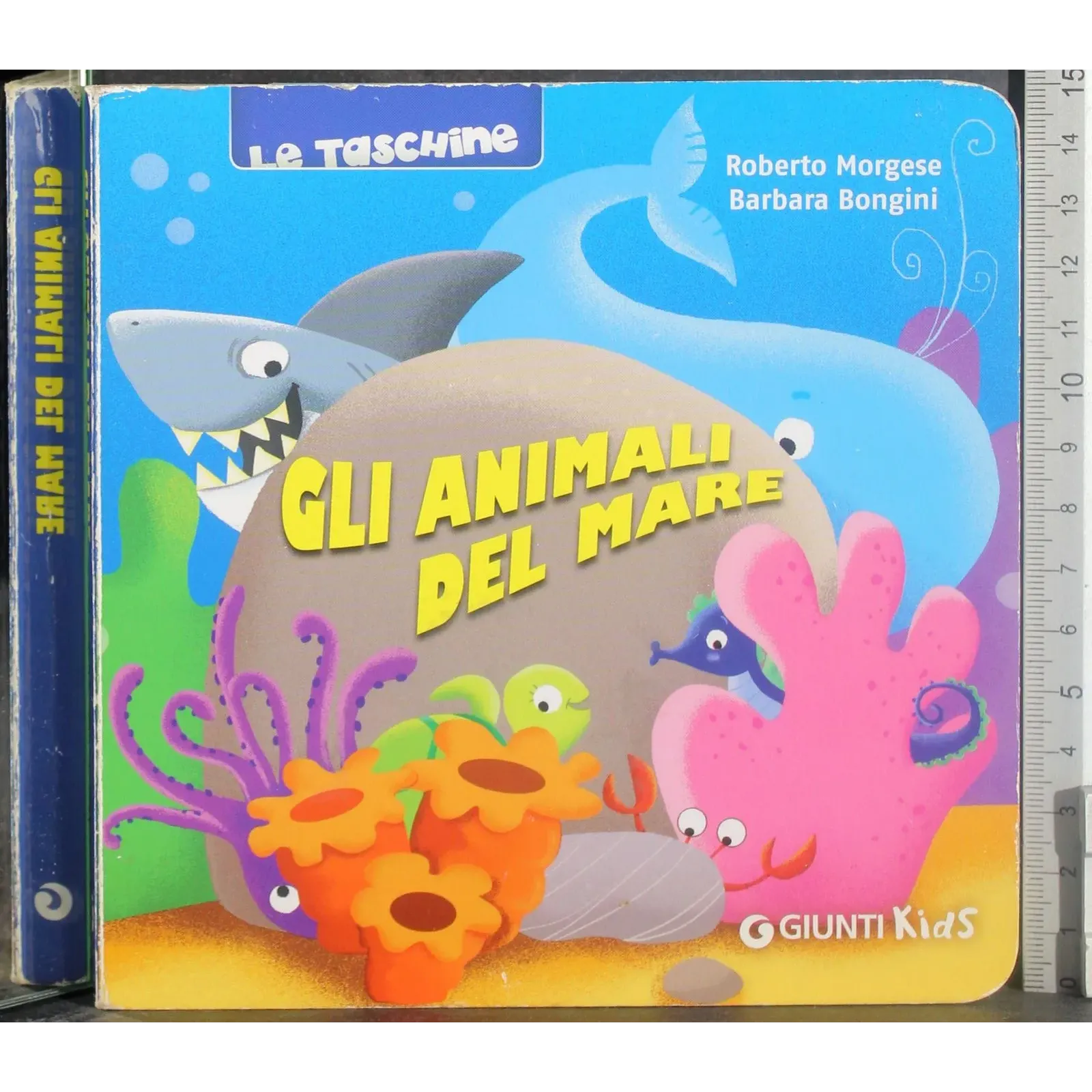 Gli animali del mare