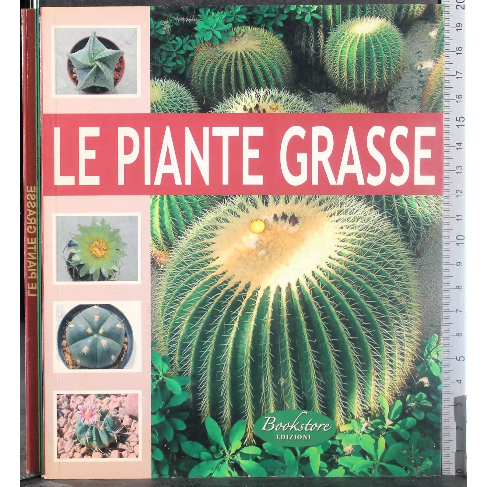 Le piente grasse