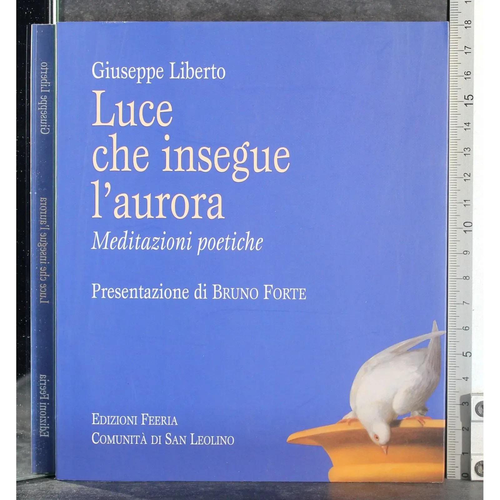 Luce che insegue l'aurora