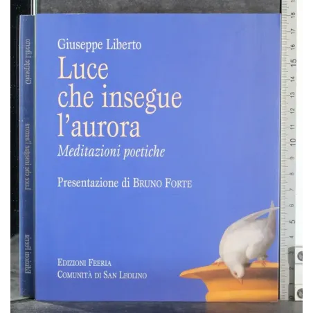 Luce che insegue l'aurora