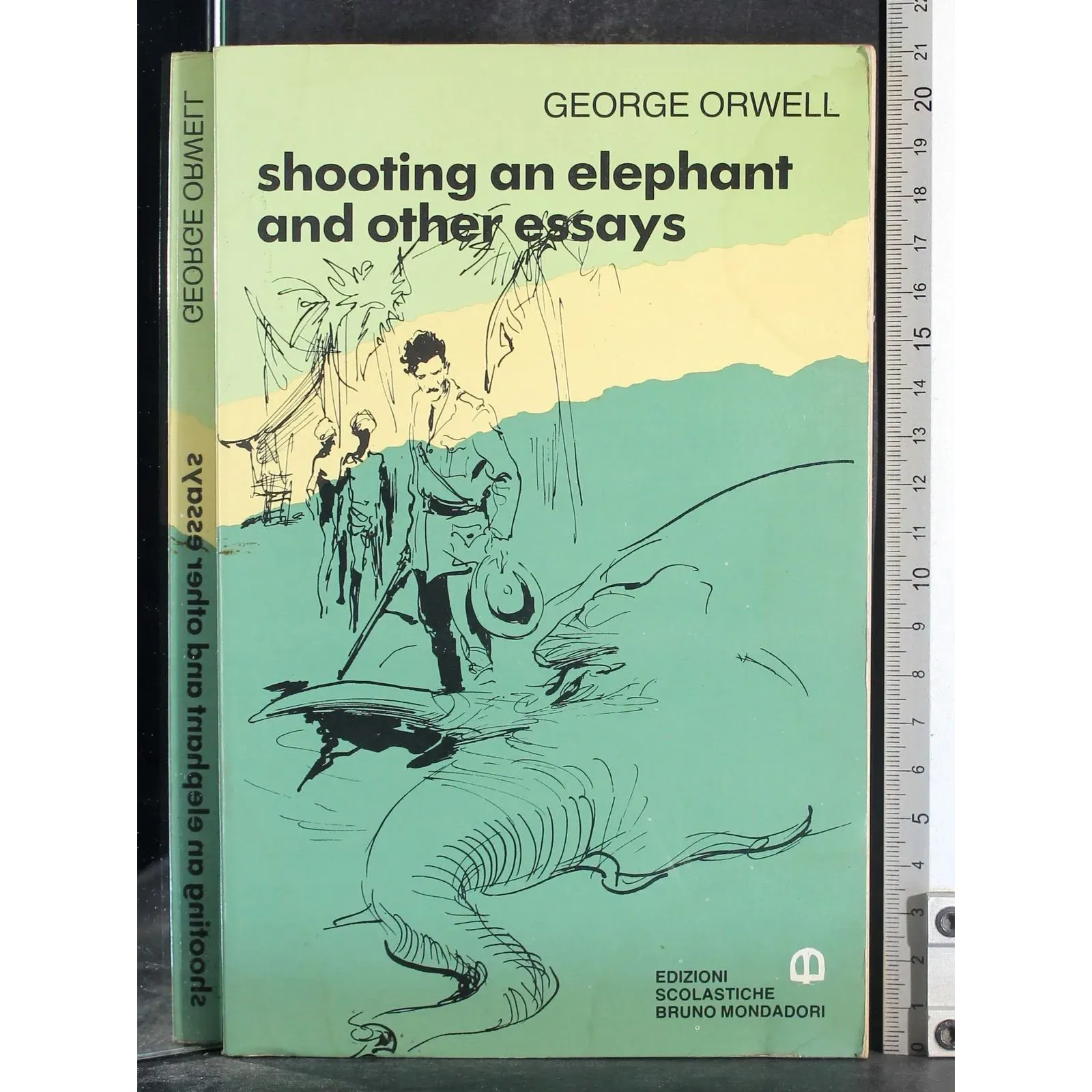 Shooting an elephant and other essays