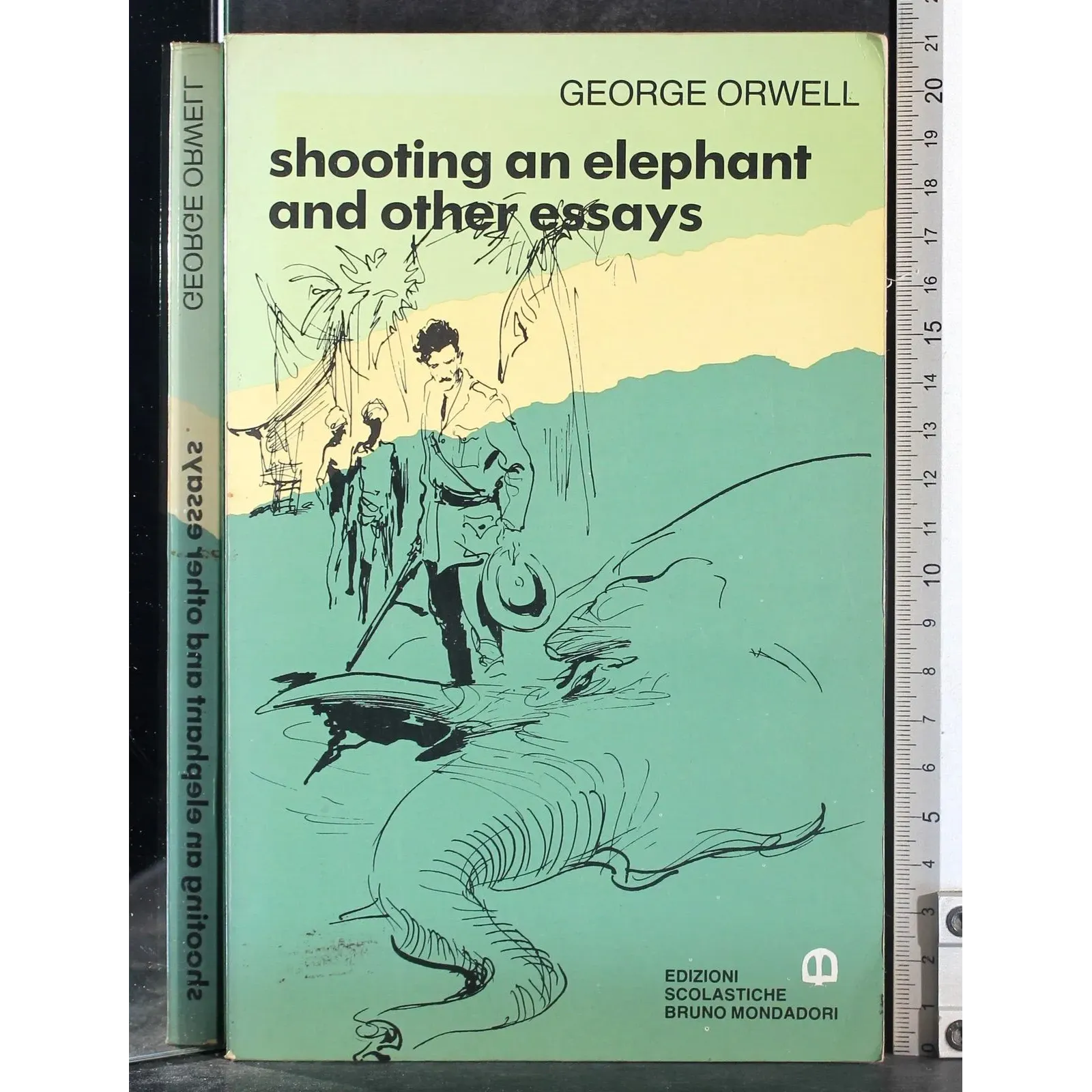 Shooting an elephant and other essays