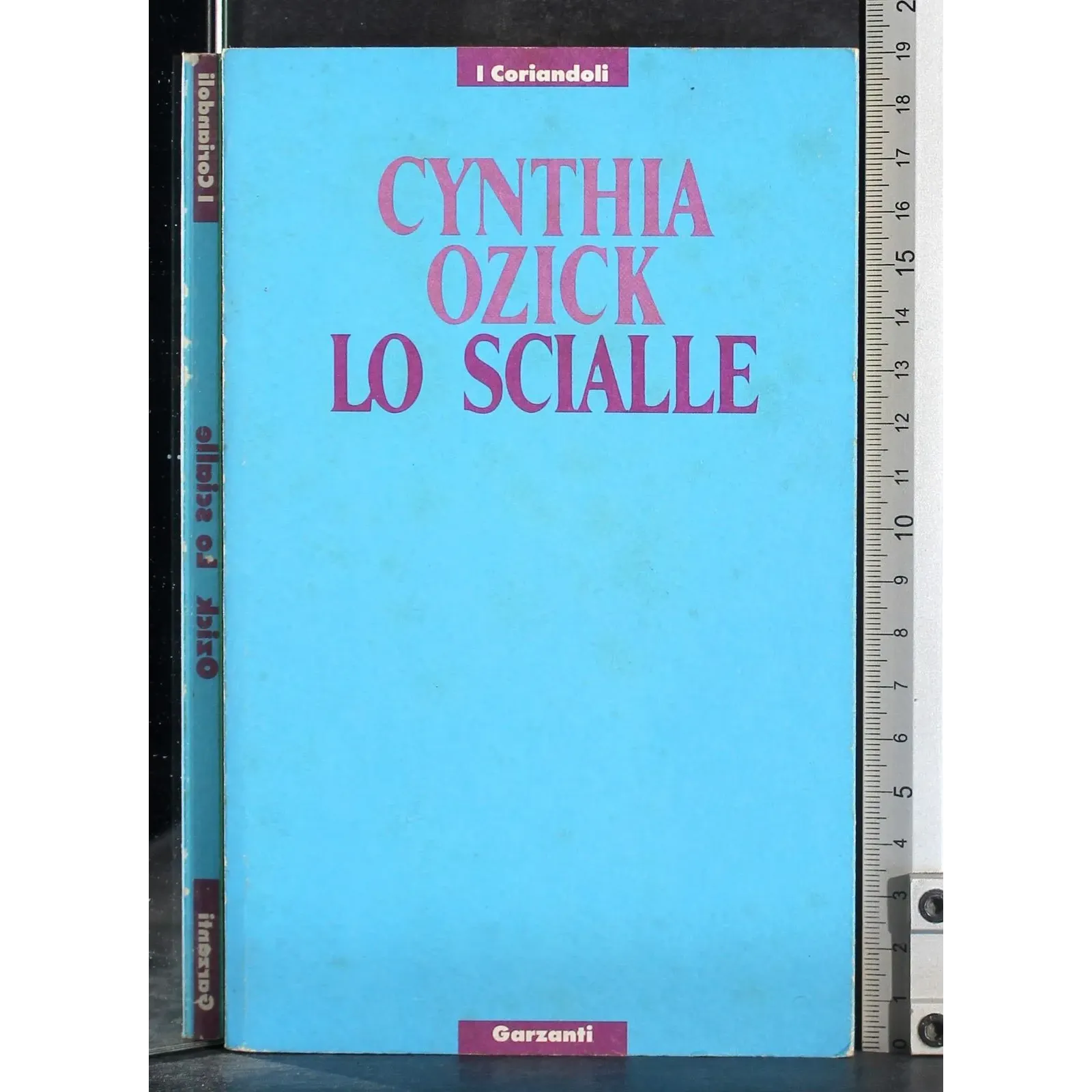 Lo scialle