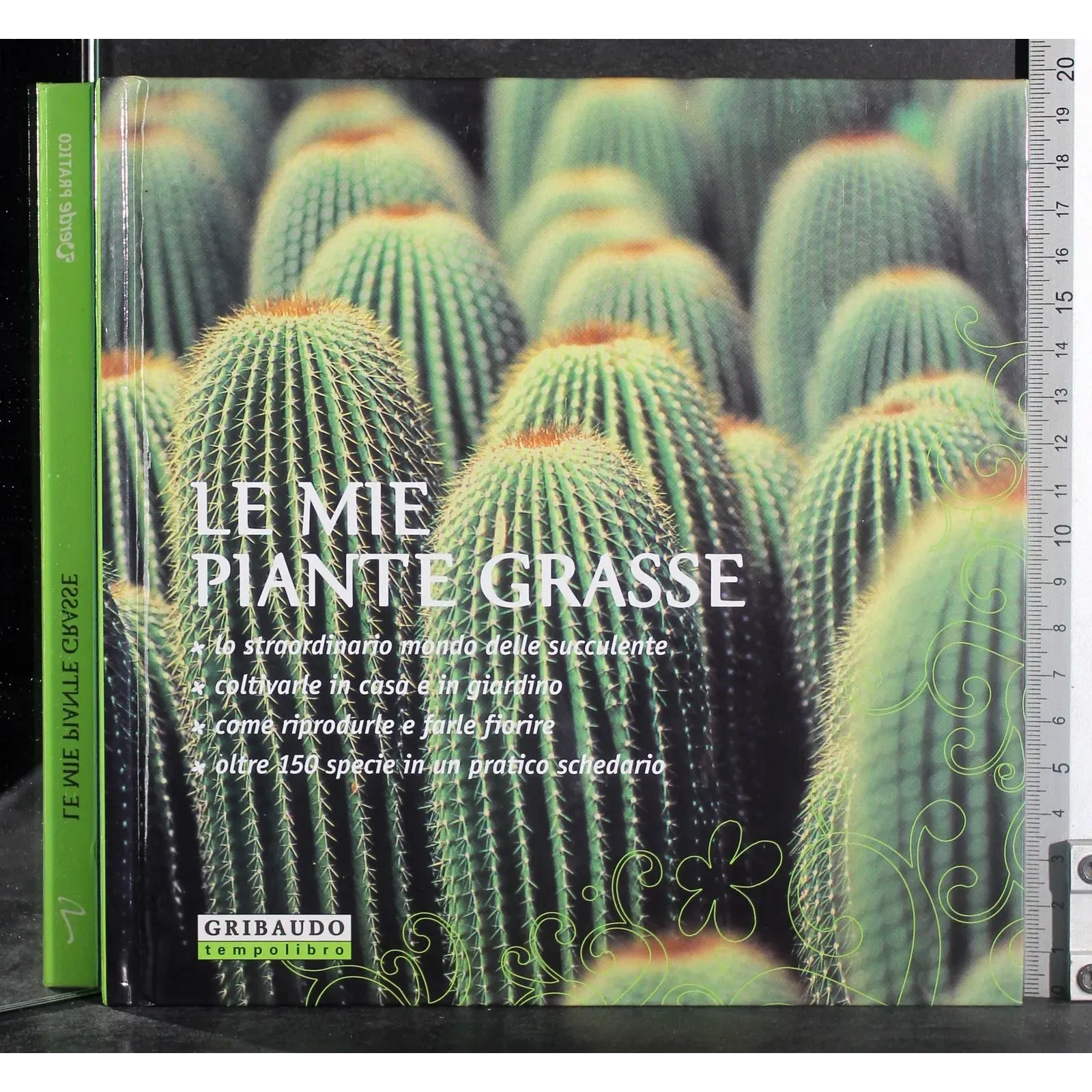 Le mie piante grasse