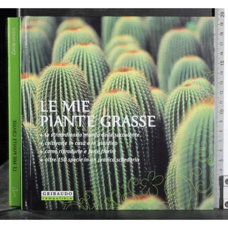 Le mie piante grasse