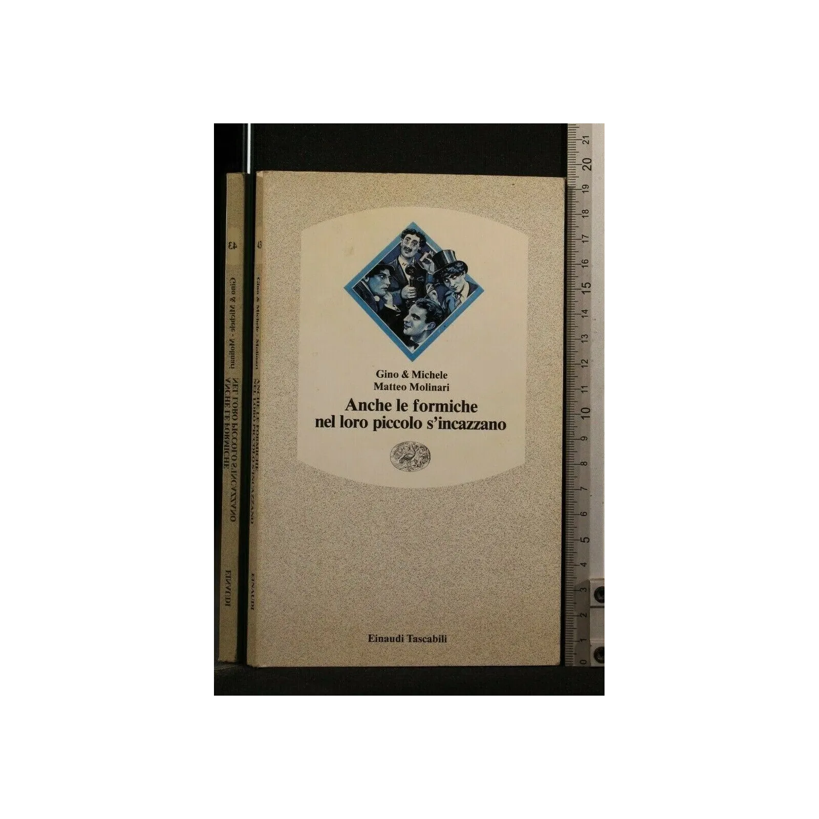 ANCHE LE FORMICHE NEL LORO PICCOLO S'INCAZZANO