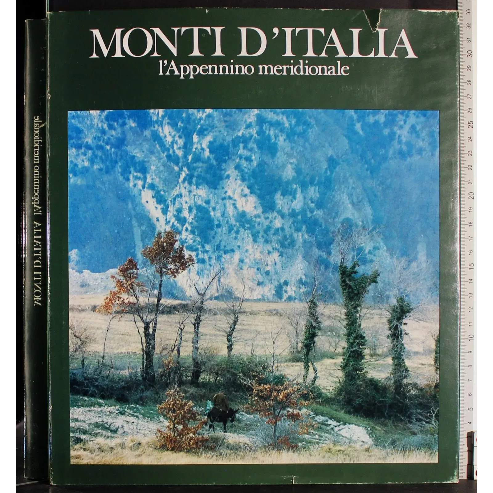 Monti d'Italia. L'appendice meridionale