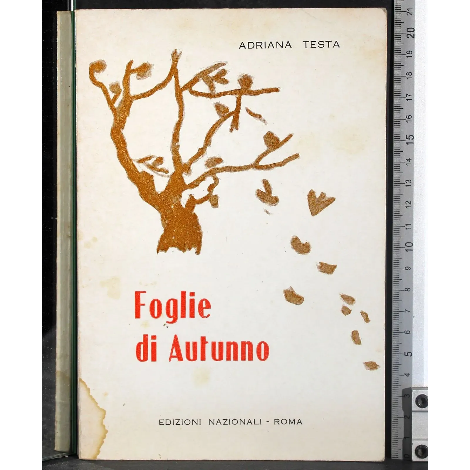 Foglie di autunno