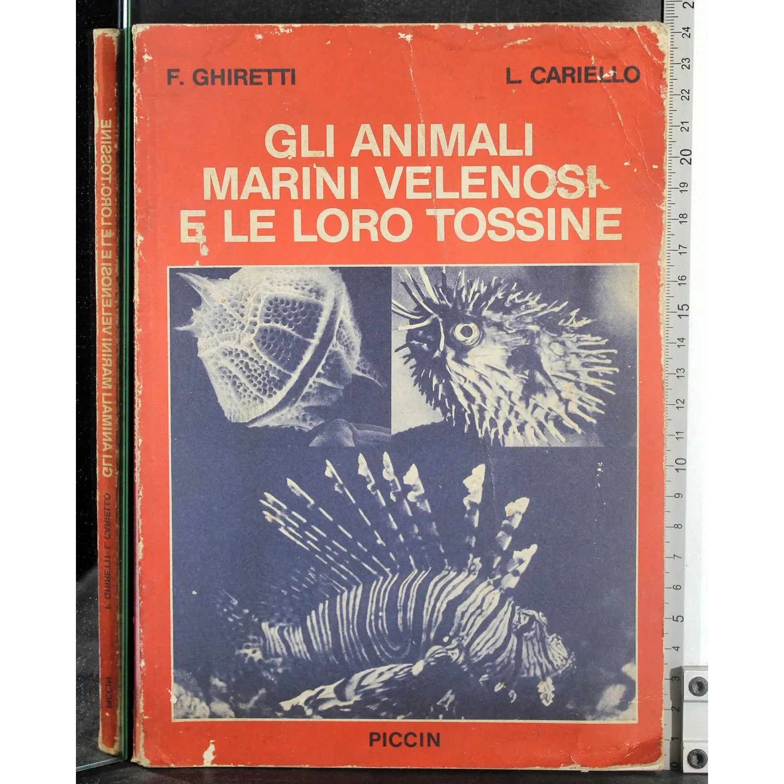 Gli animali marini velenosi e le loro tossine
