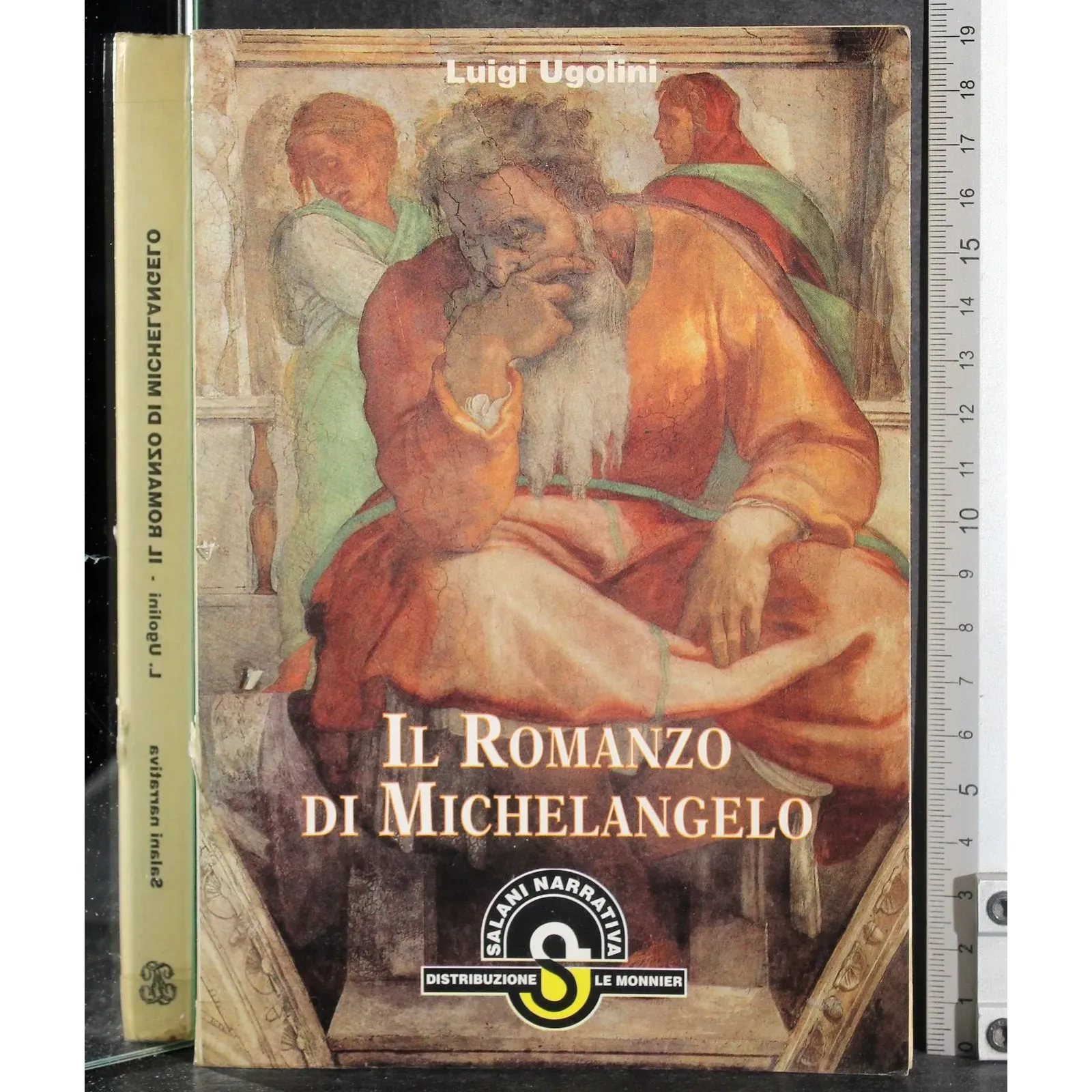 Il romanzo di Michelangelo