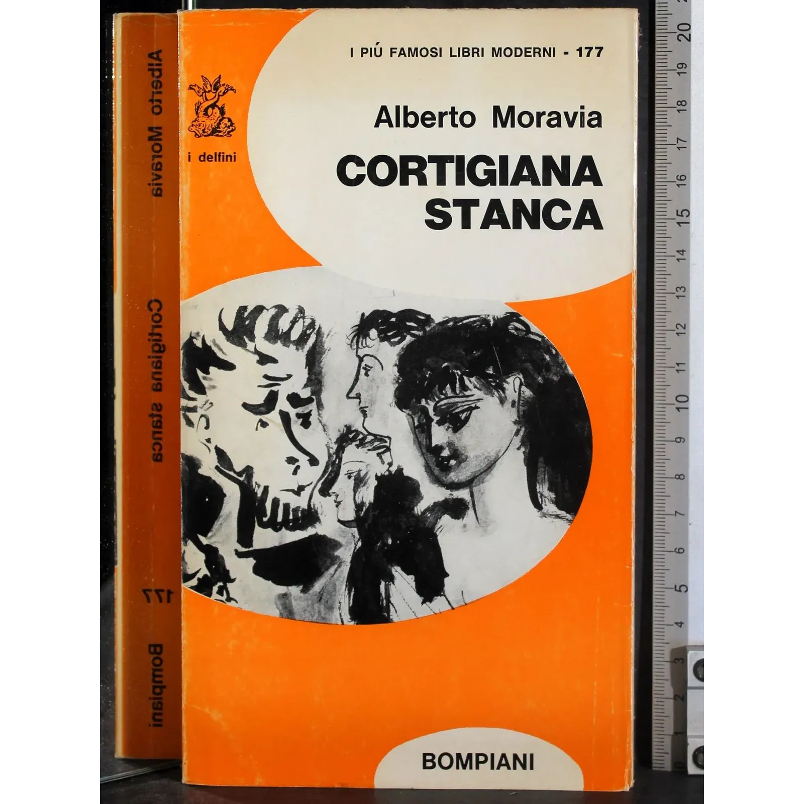 Cortigiana Stanca