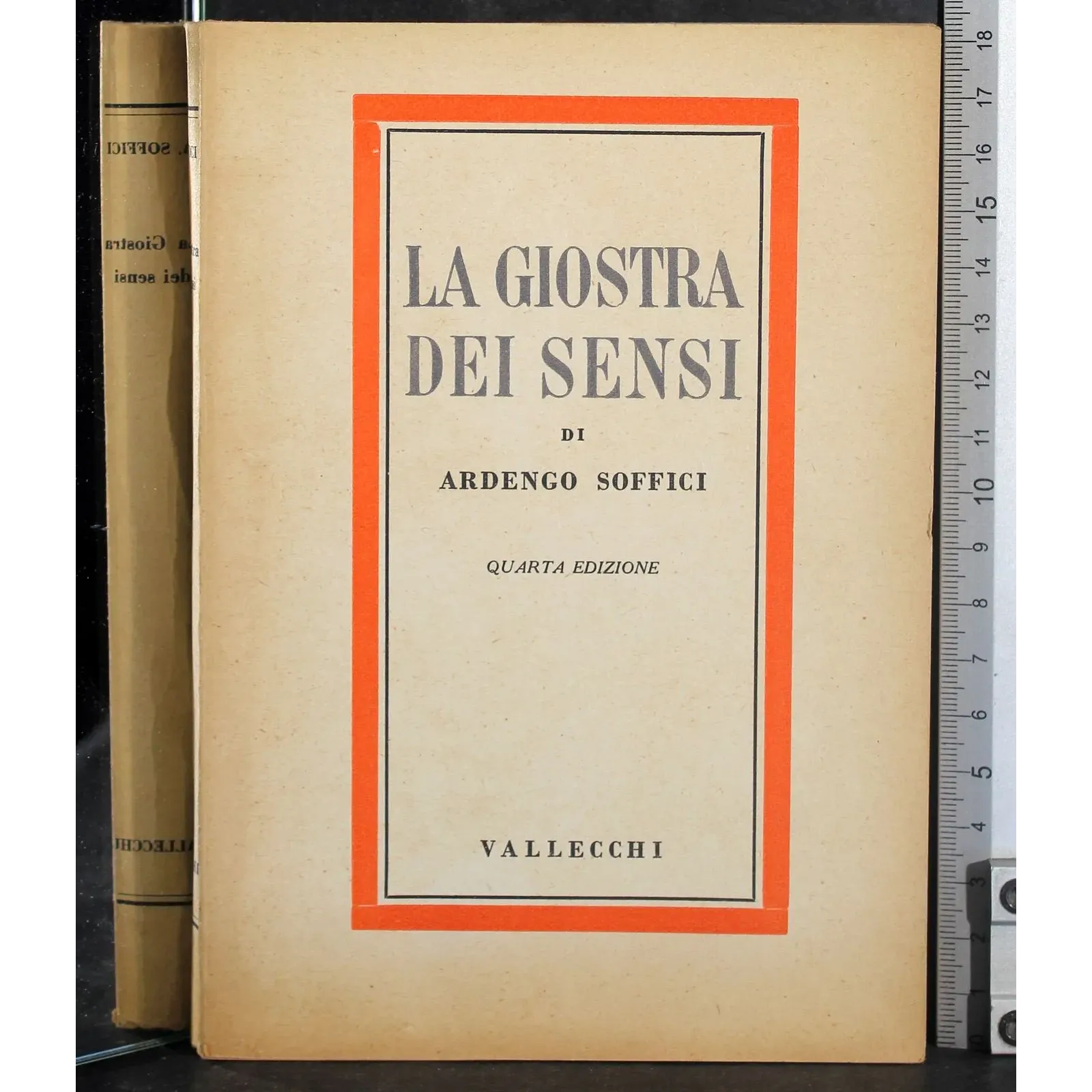 La giostra dei sensi